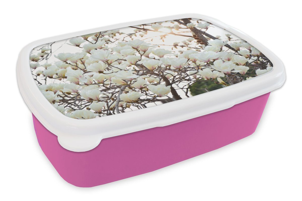 MuchoWow Lunchbox Weiße Magnolienblüten in voller Blüte, Kunststoff, (2-tlg), Brotbox für Erwachsene, Brotdose Kinder, Snackbox, Mädchen, Kunststoff rosa