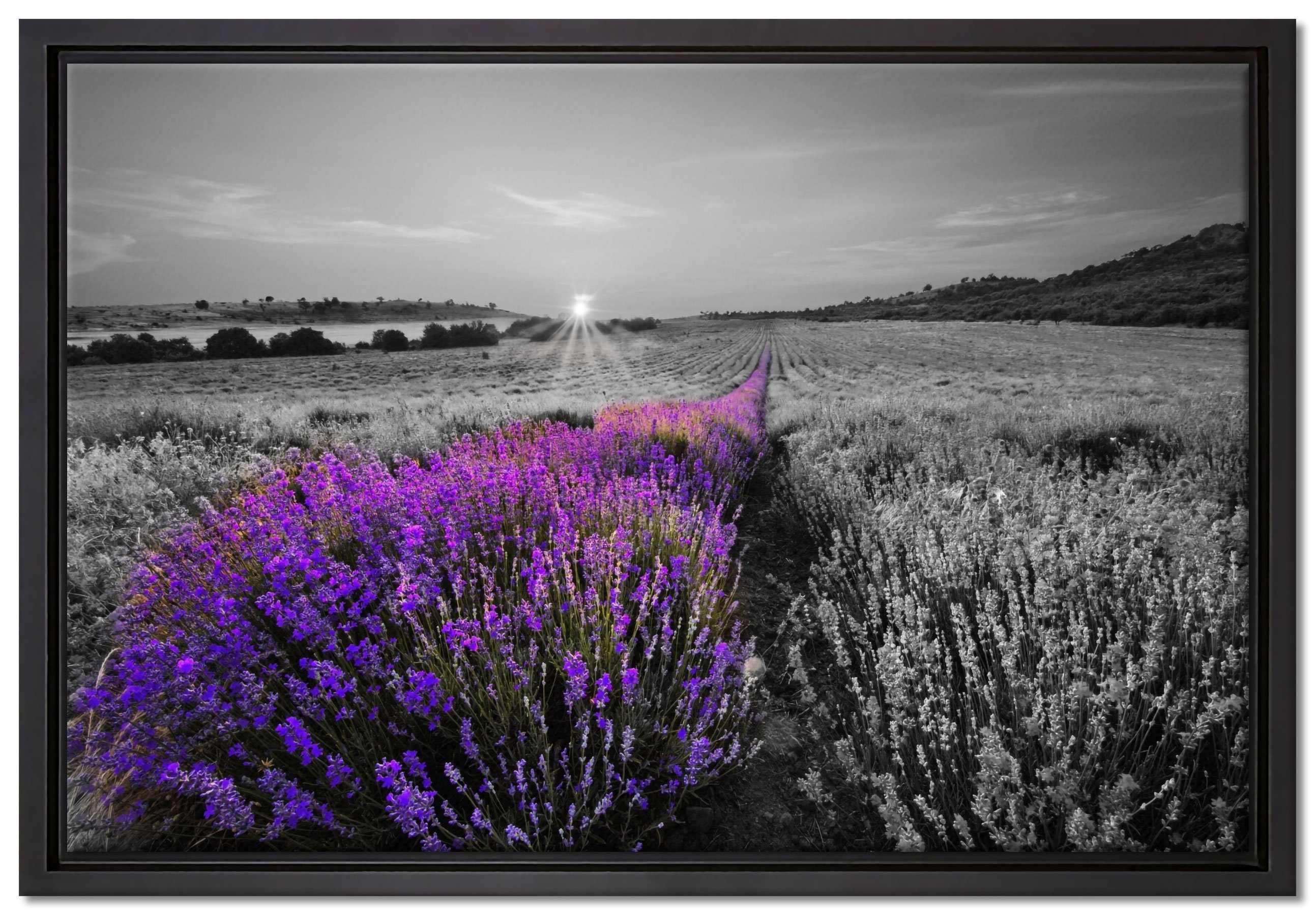 Pixxprint Leinwandbild Lavendelfeld in Frankreich, Wanddekoration (1 St), Leinwandbild fertig bespannt, in einem Schattenfugen-Bilderrahmen gefasst, inkl. Zackenaufhänger