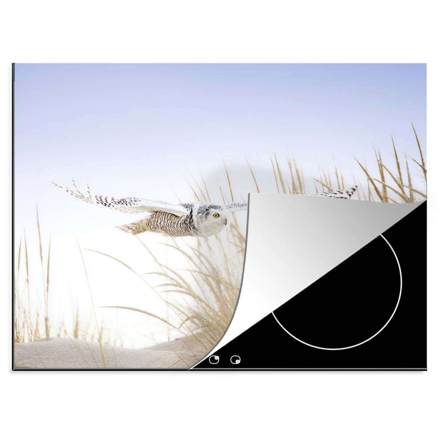 MuchoWow Herdblende-/Abdeckplatte Schneeeule fliegt über den Strand, Vinyl, (1 tlg), 70x52 cm, Mobile Arbeitsfläche nutzbar, Ceranfeldabdeckung
