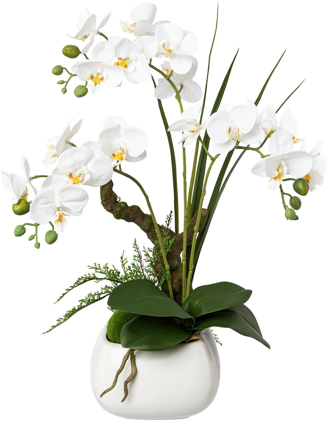 Kunstorchidee Deko-Orchidee Phalaenopsis im Keramiktopf Orchidee günstig online kaufen
