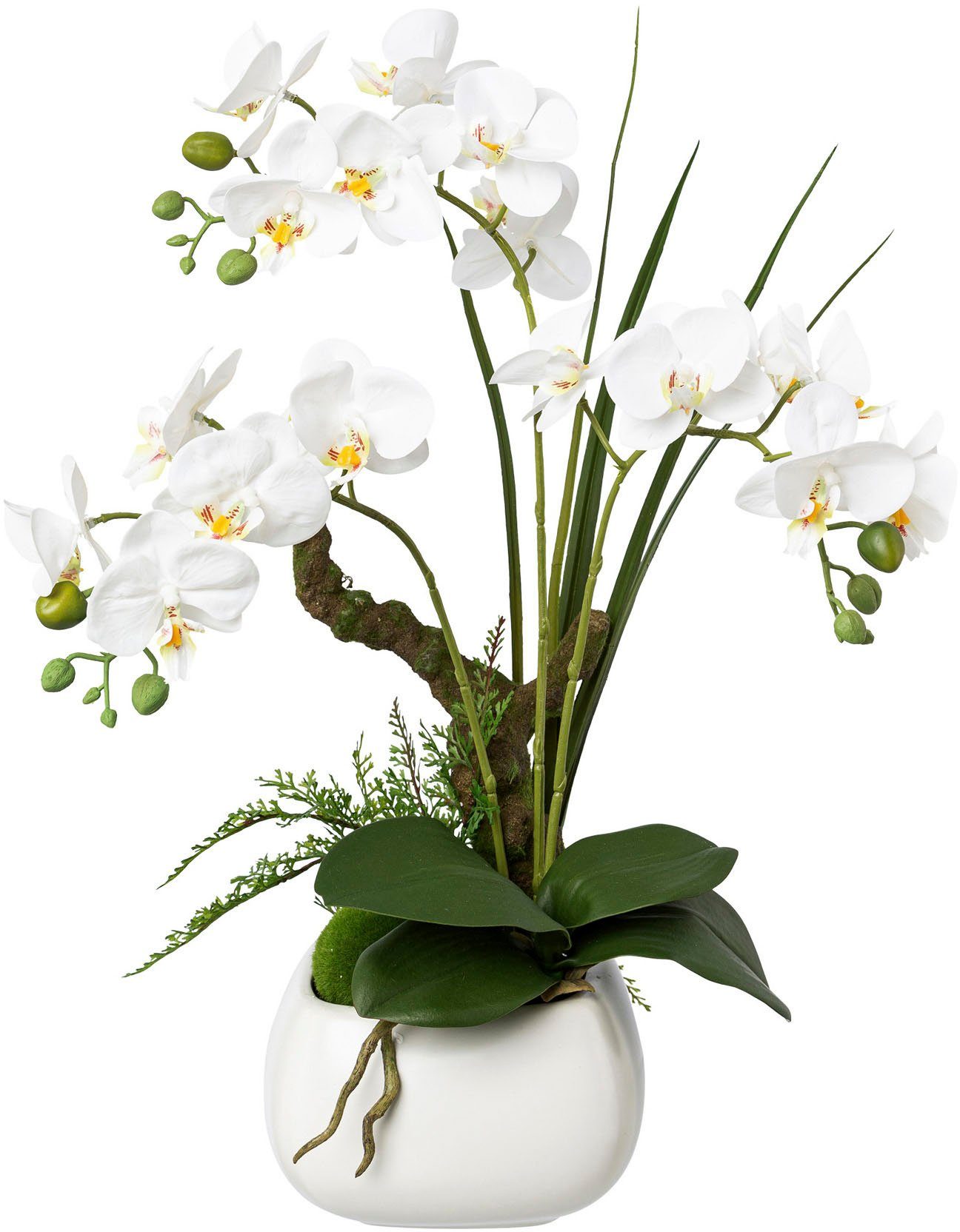 Kunstorchidee Deko-Orchidee Phalaenopsis im Keramiktopf Orchidee Phalaenopsis, Creativ green, Höhe 46 cm