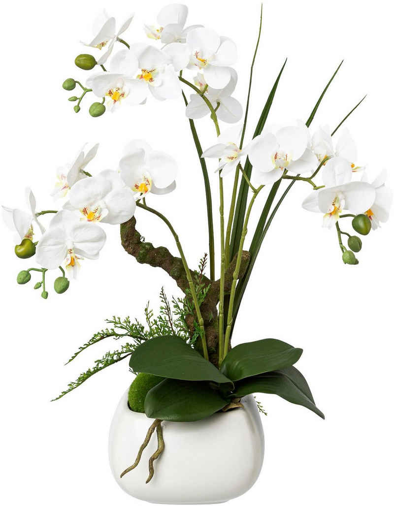 Kunstorchidee Deko-Orchidee Phalaenopsis im Keramiktopf Orchidee Phalaenopsis, Creativ green, Höhe 46 cm