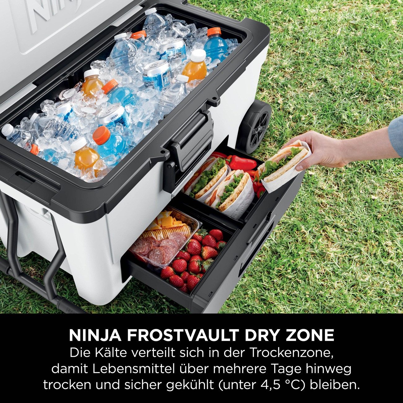 NINJA Outdoor-Flaschenkühler FrostVault FB265EUUKWH, 61 Liter Kapazität, robuste Räder und Tragegriffe – Bild 4 von 5