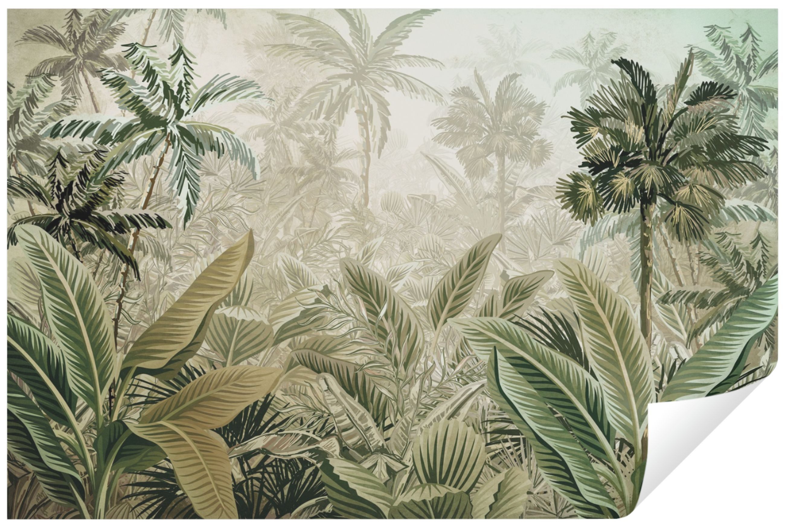 Wallarena Fototapete Dschungel Wald Amazonia Wald günstig online kaufen