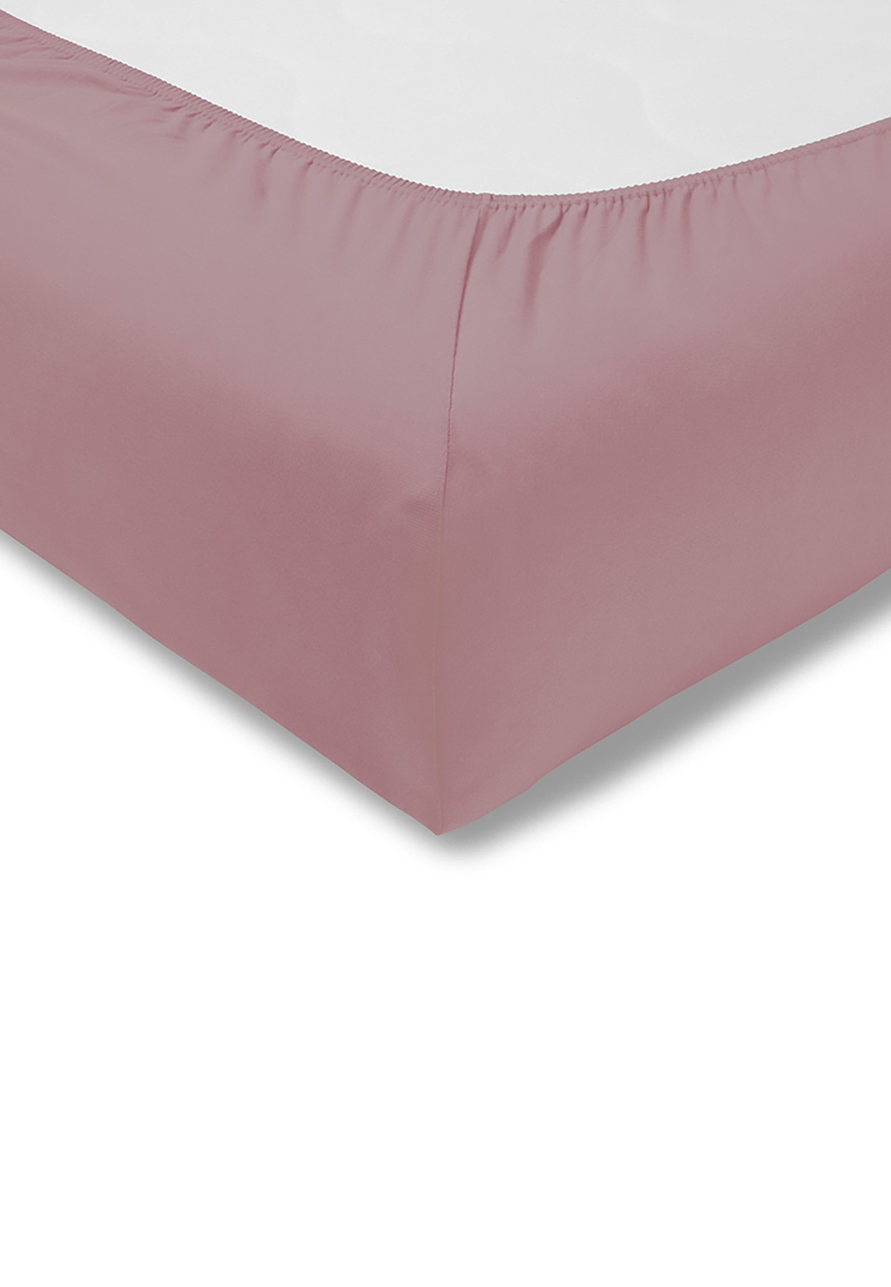 ESTELLA Fein-Jersey Spannbetttuch  UNI ¦ lila/violett ¦ Maße (cm): B: 180 B günstig online kaufen