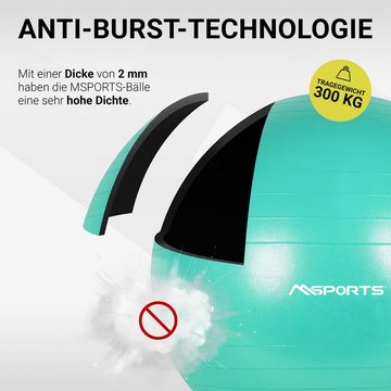 MSports® Gymnastikball Gymnastikball Anti Burst inkl. Pumpe + Workout App