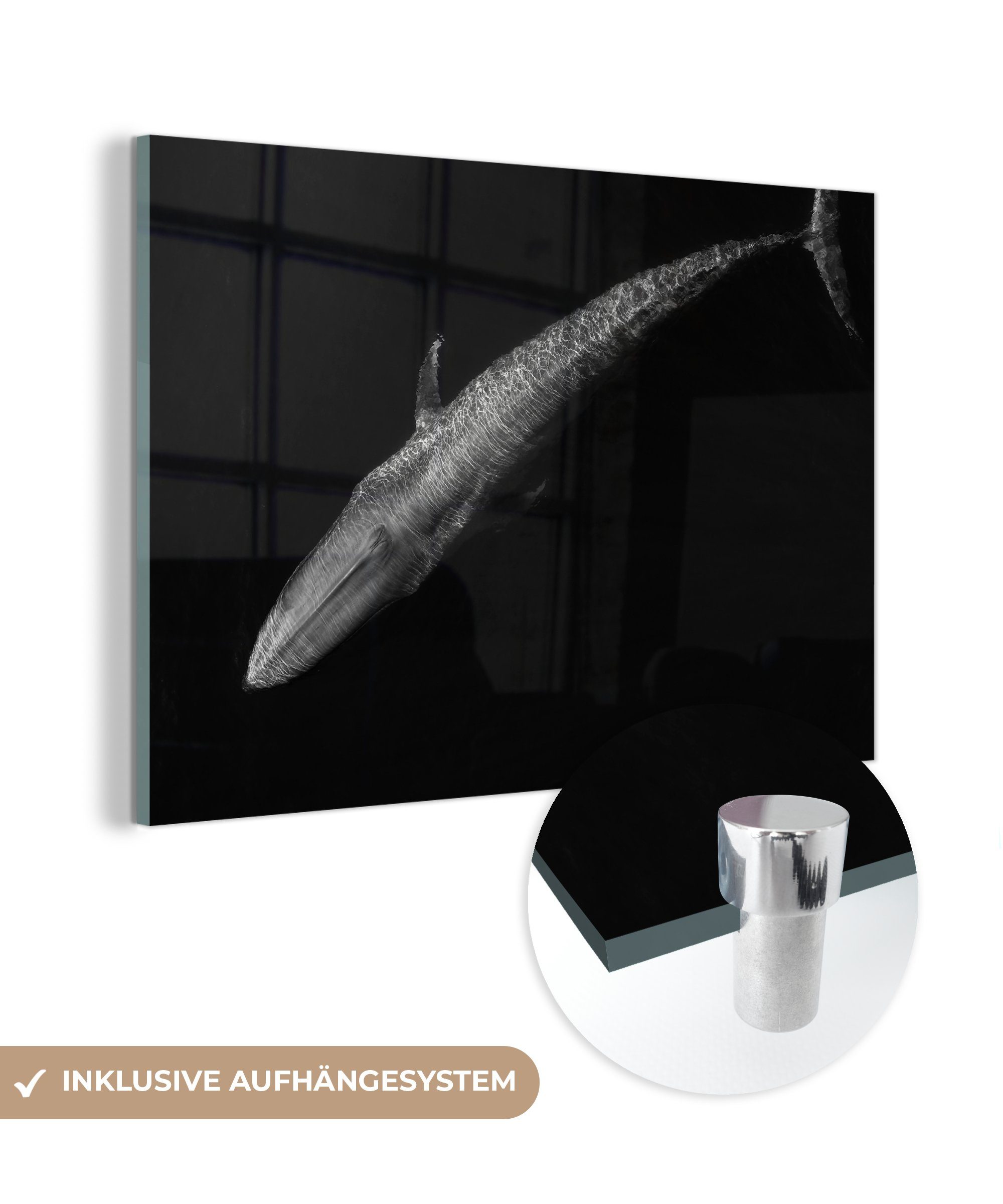 MuchoWow Acrylglasbild Blauwal - Schwarz - Weiß, (1 St), Acrylglasbilder Wohnzimmer & Schlafzimmer