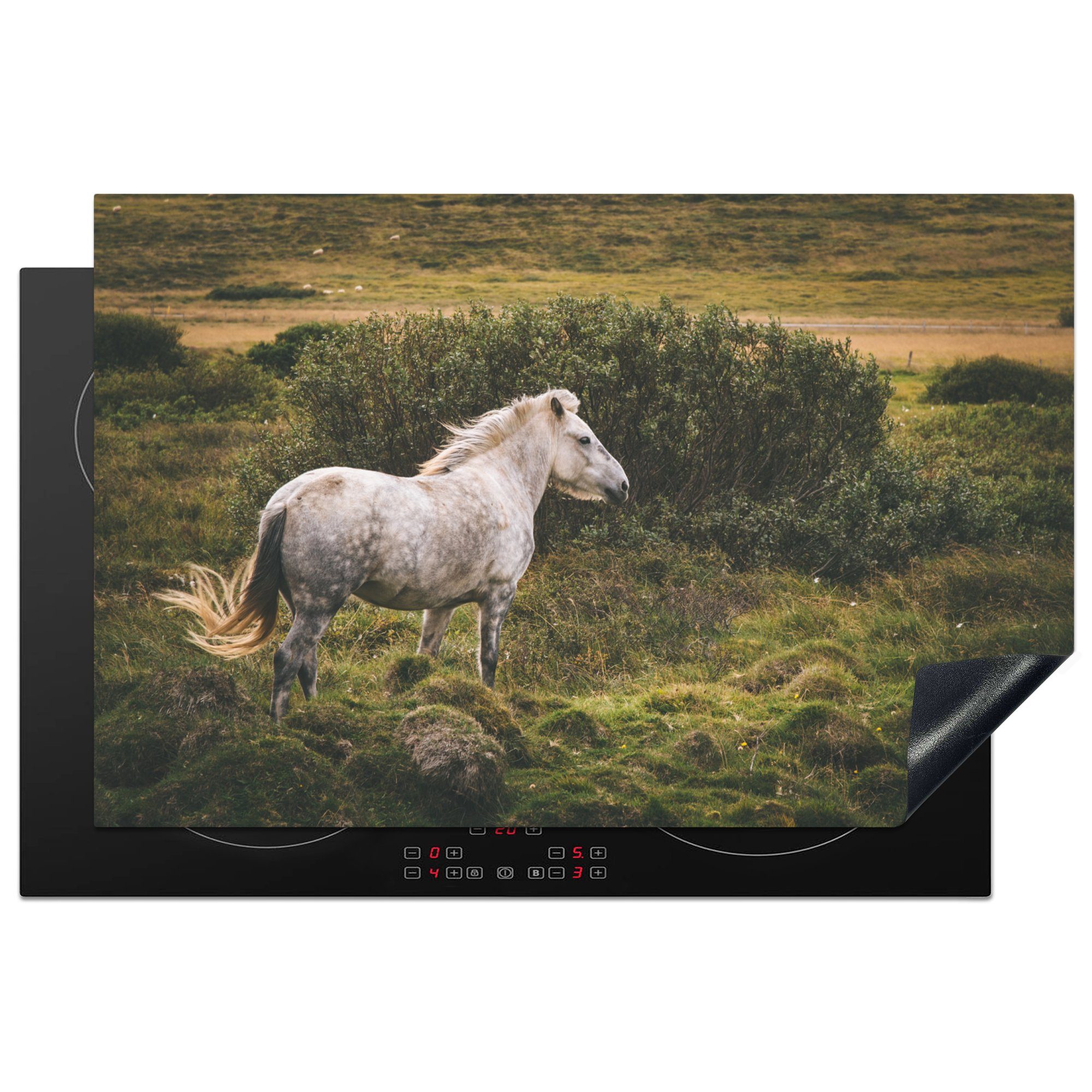 die - für Pferd 81x52 Schutz Weiß MuchoWow Vinyl, (1 - Induktionskochfeld Ceranfeldabdeckung cm, küche, Island, Herdblende-/Abdeckplatte tlg),