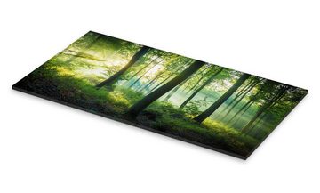 Posterlounge Acrylglasbild Martin Wasilewski, Licht im Wald, Badezimmer Maritim Fotografie