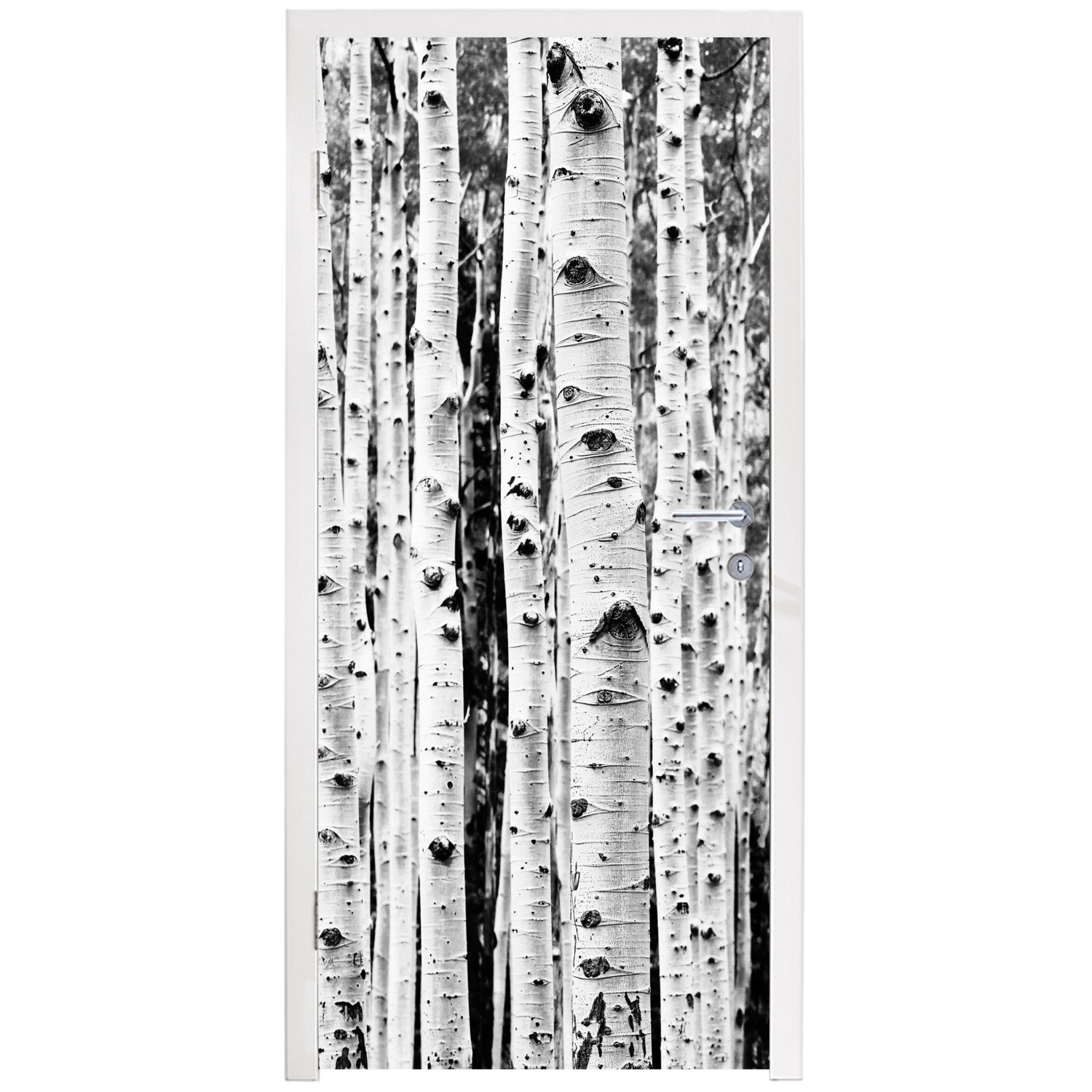Fototapete für und bedruckt, Matt, Türtapete - Bäume (1 Natur, 75x205 - weiß - MuchoWow St), Holz Schwarz cm Tür, Türaufkleber,