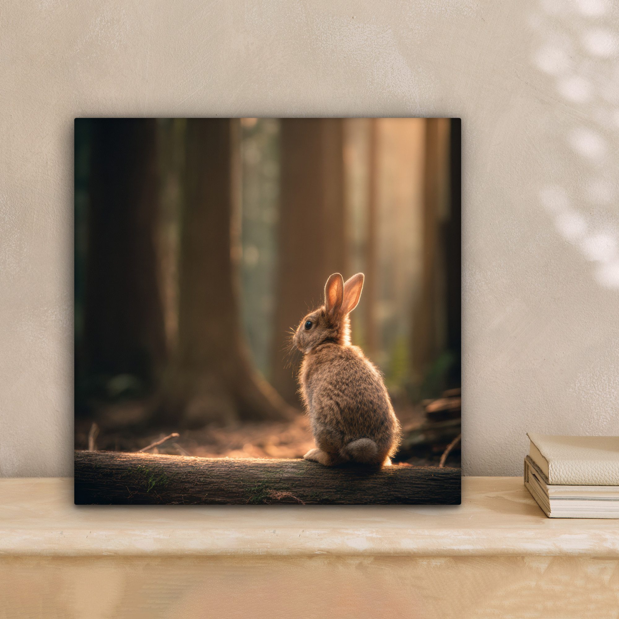 OneMillionCanvasses® Leinwandbild Kaninchen - Wald - Sonnenstrahlen, Fotodr günstig online kaufen