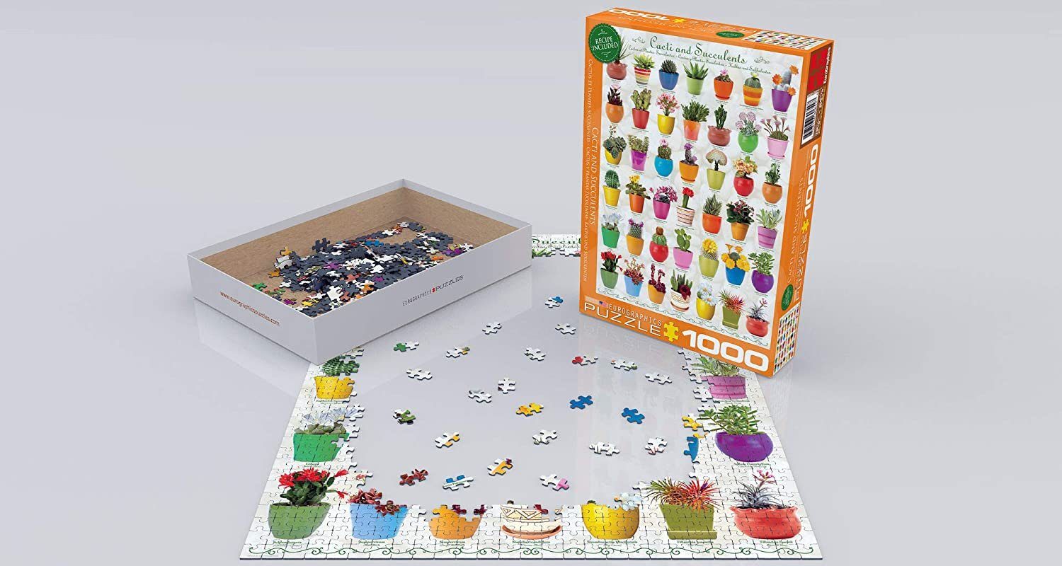 Puzzle empireposter - Format Sukkulenten 1000 Teile Natur Kakteen 1000 68x48 im cm, und Puzzle Puzzleteile - Wundervolle