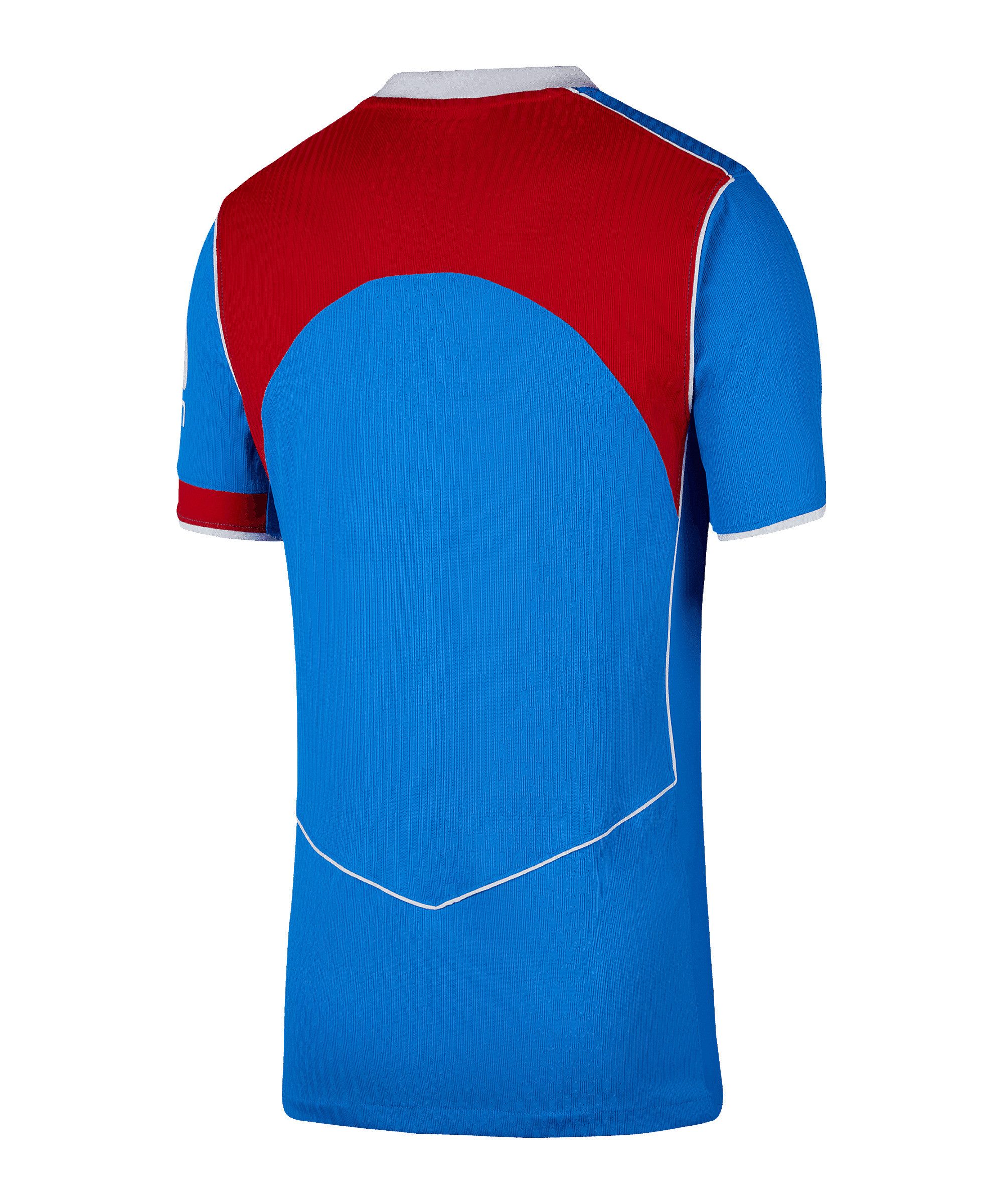 Nike Fußballtrikot Nike Performance Teamsport günstig online kaufen