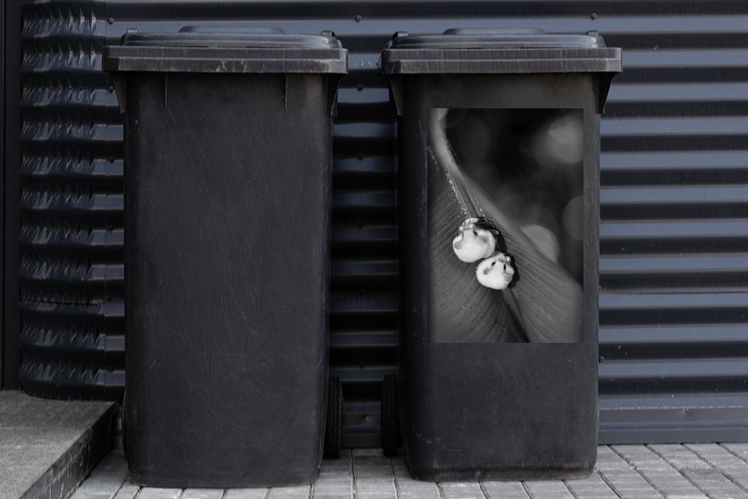 Container, weiß auf einem MuchoWow Mülltonne, schwarz St), Abfalbehälter Sticker, Mülleimer-aufkleber, und Weiße - Fledermäuse Blatt (1 Wandsticker