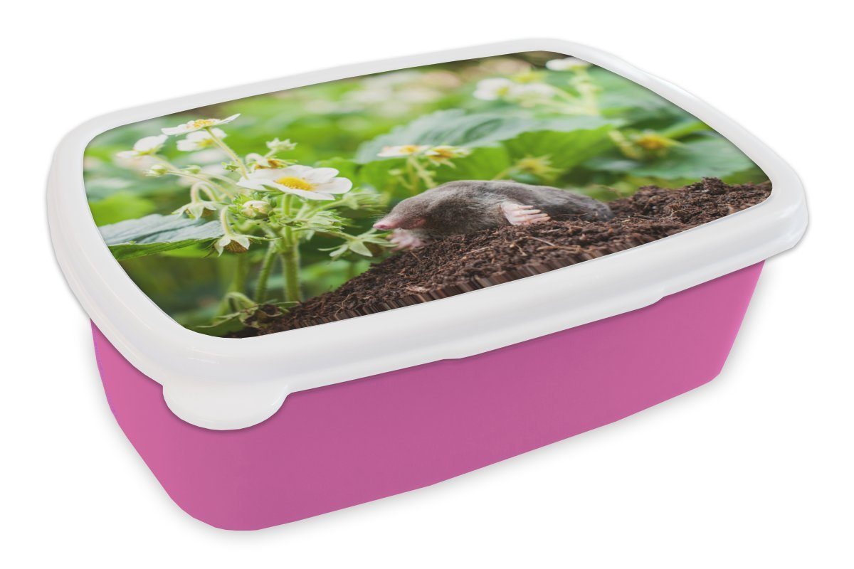 MuchoWow Lunchbox Tier Kinder, - - Brotbox Erwachsene, Maulwurf, Kunststoff (2-tlg), rosa Mädchen, Kunststoff, Garten Snackbox, für Brotdose