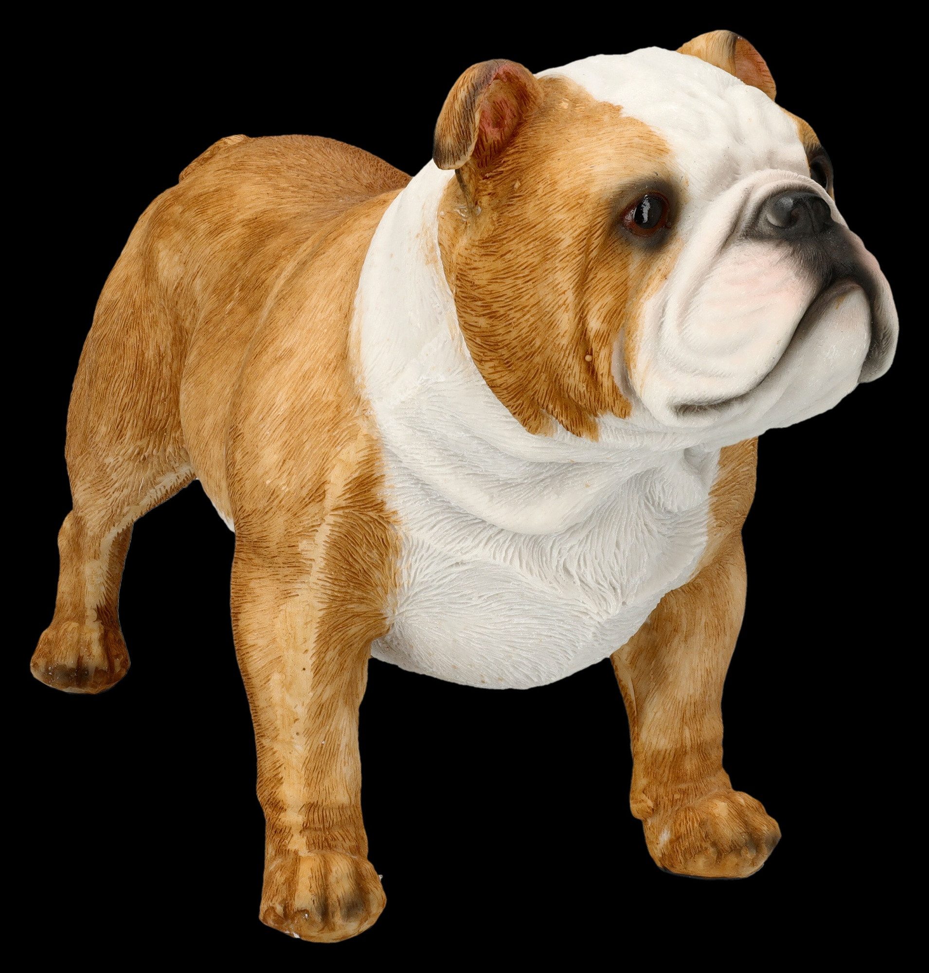 Figuren Shop GmbH Tierfigur Bulldoggen Figur Welpe – handbemalte Kunststein Skulptur 16 cm Deko