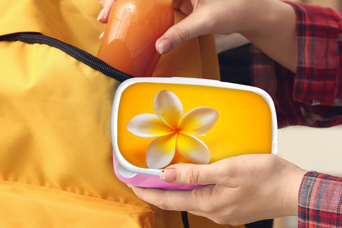 Lunchbox Erwachsene, Kinder, Mädchen, Kunststoff, Brotbox gelbem rosa Snackbox, Frangipani Brotdose Hintergrund, (2-tlg), Gelbe für auf MuchoWow Kunststoff