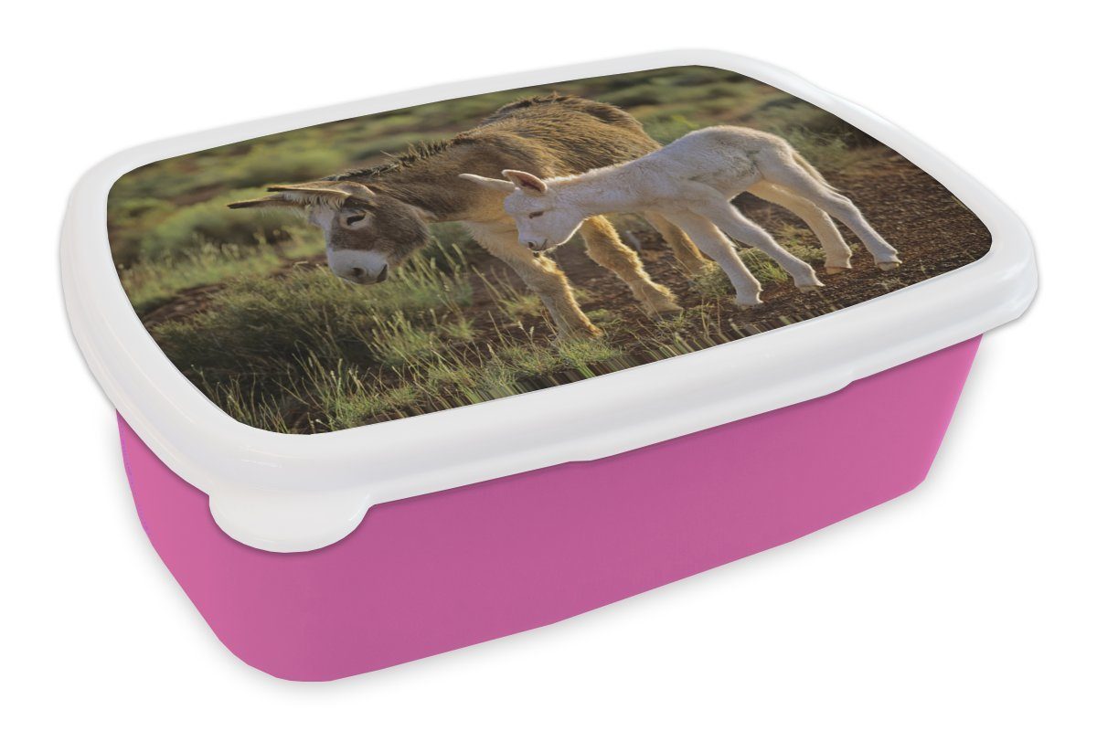 MuchoWow Lunchbox Esel mit Fohlen, Kunststoff, (2-tlg), Brotbox für Erwachsene, Brotdose Kinder, Snackbox, Mädchen, Kunststoff rosa