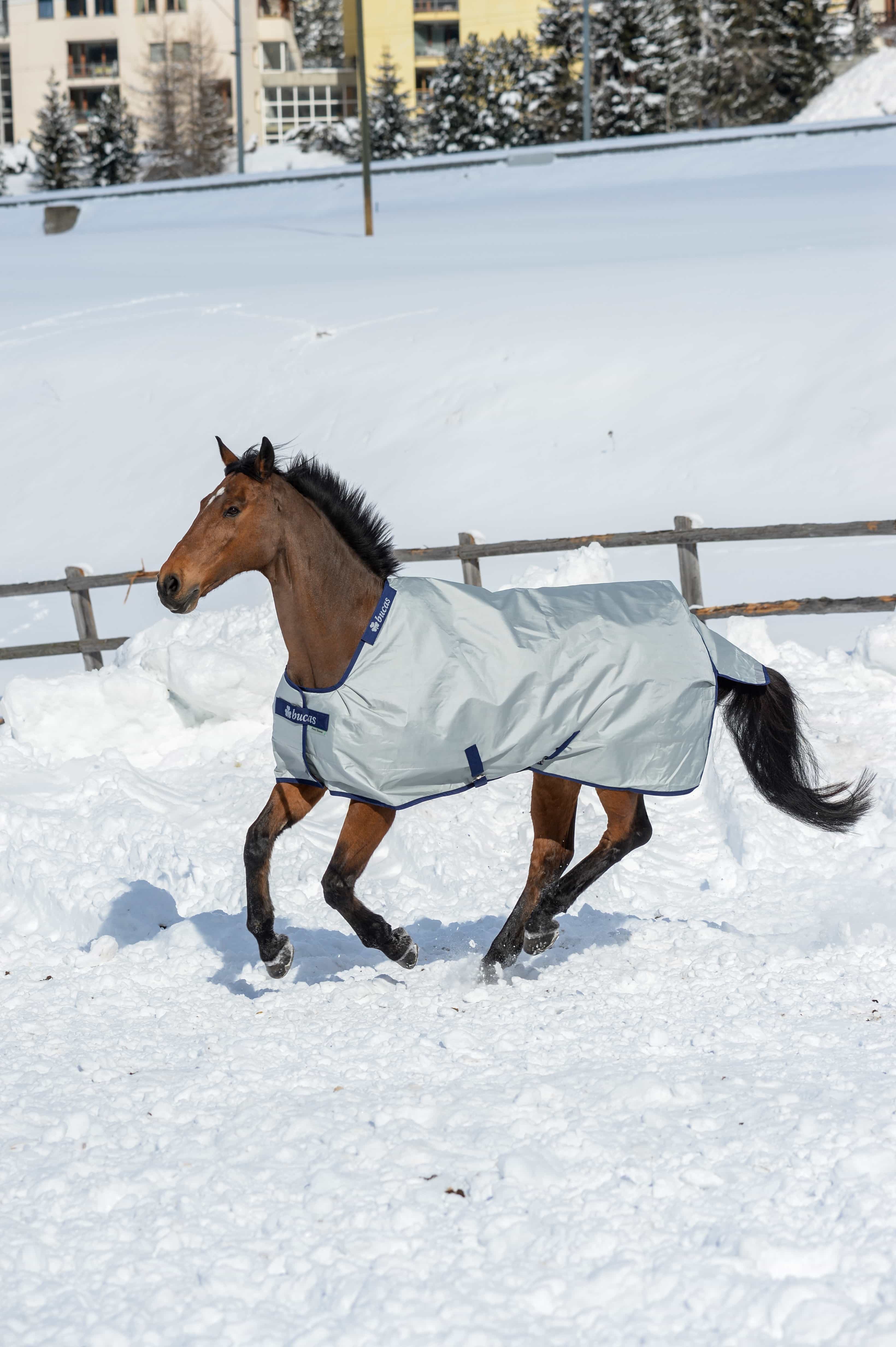 Bucas Ausreitdecke Outdoordecke Power Turnout Extra 300g in Silver
