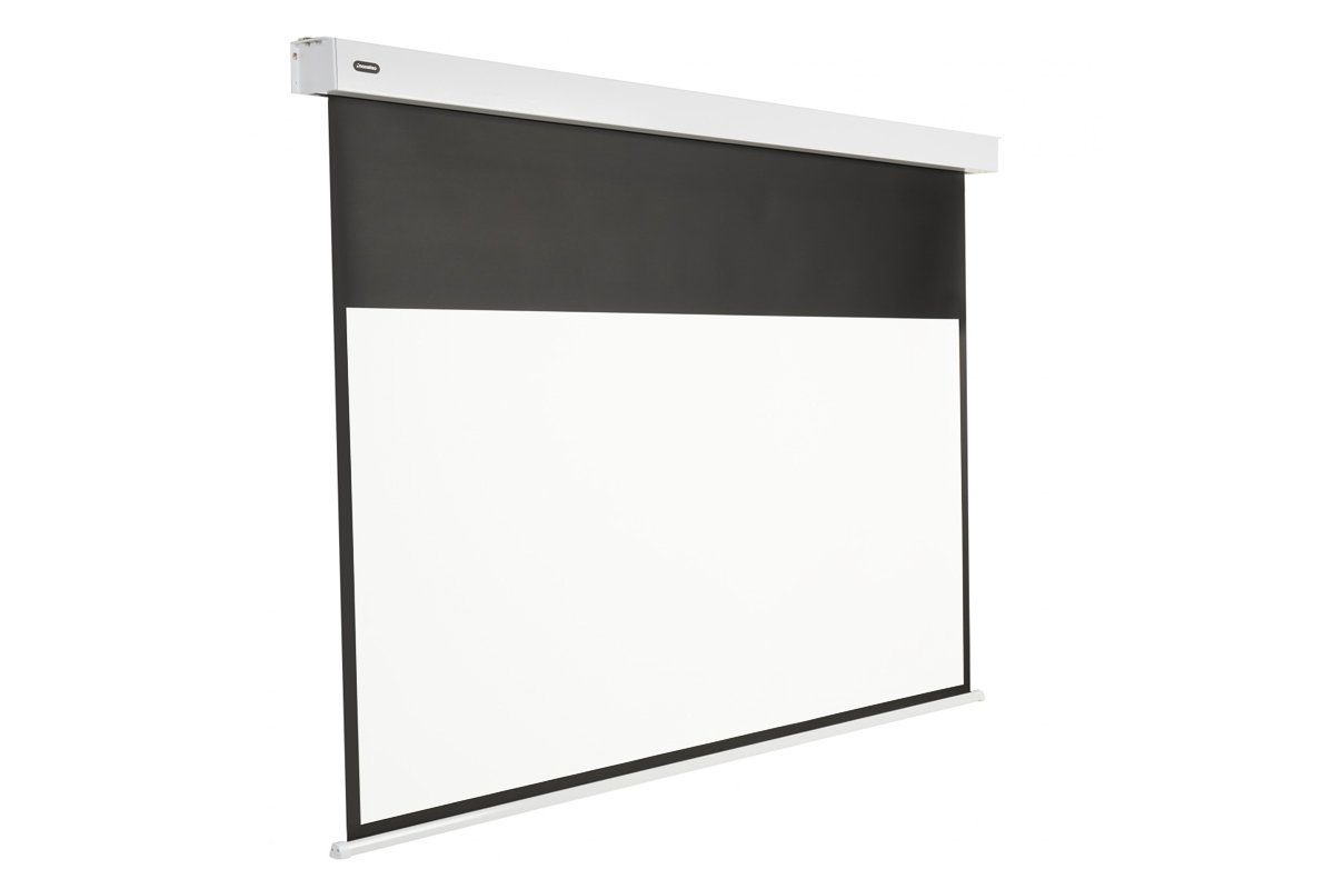 Celexon Professional Plus Motorleinwand (black_backside)