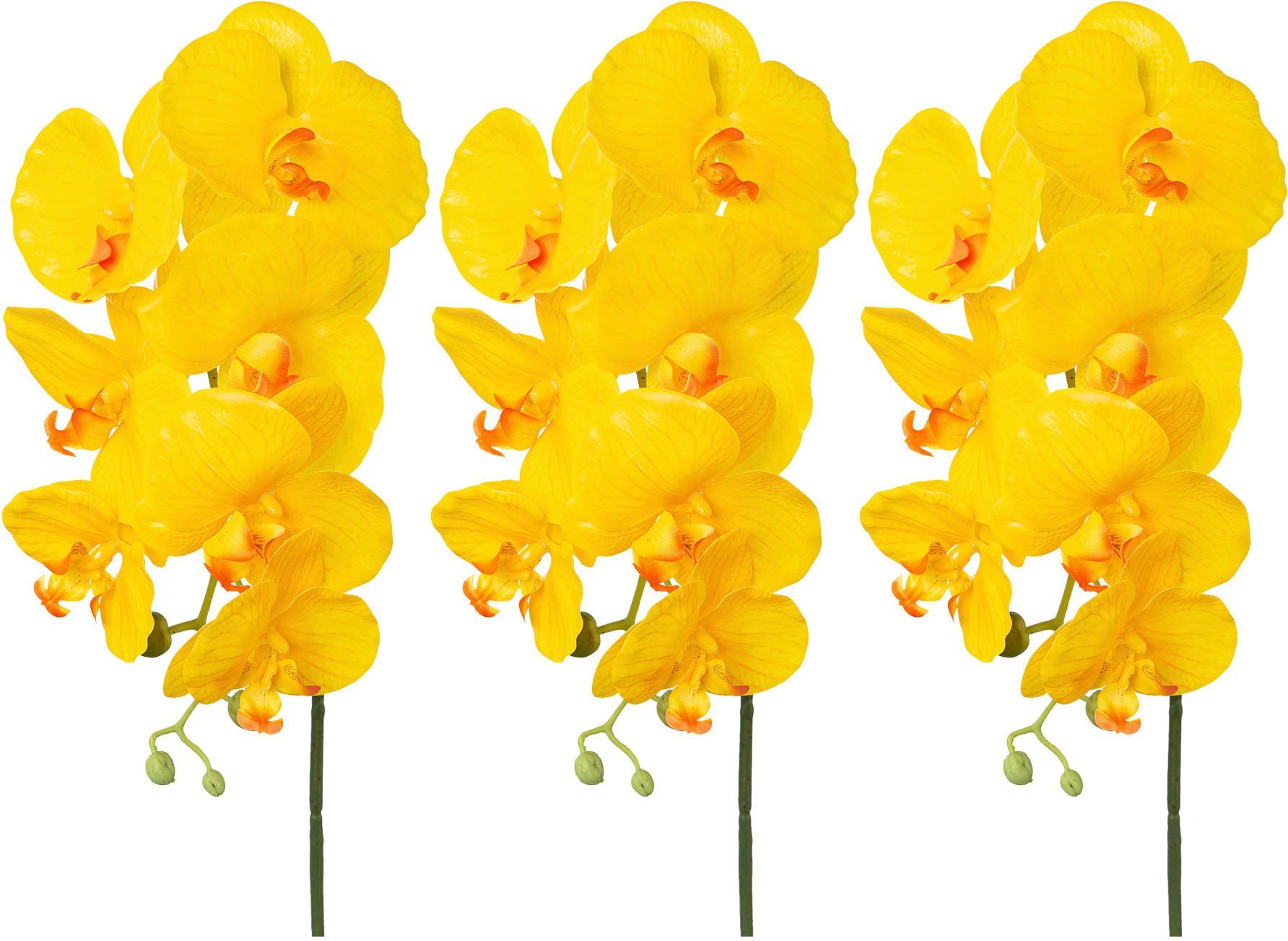 Kunstorchidee Orchidee Phalaenopsis Orchidee, Creativ green, günstig online kaufen