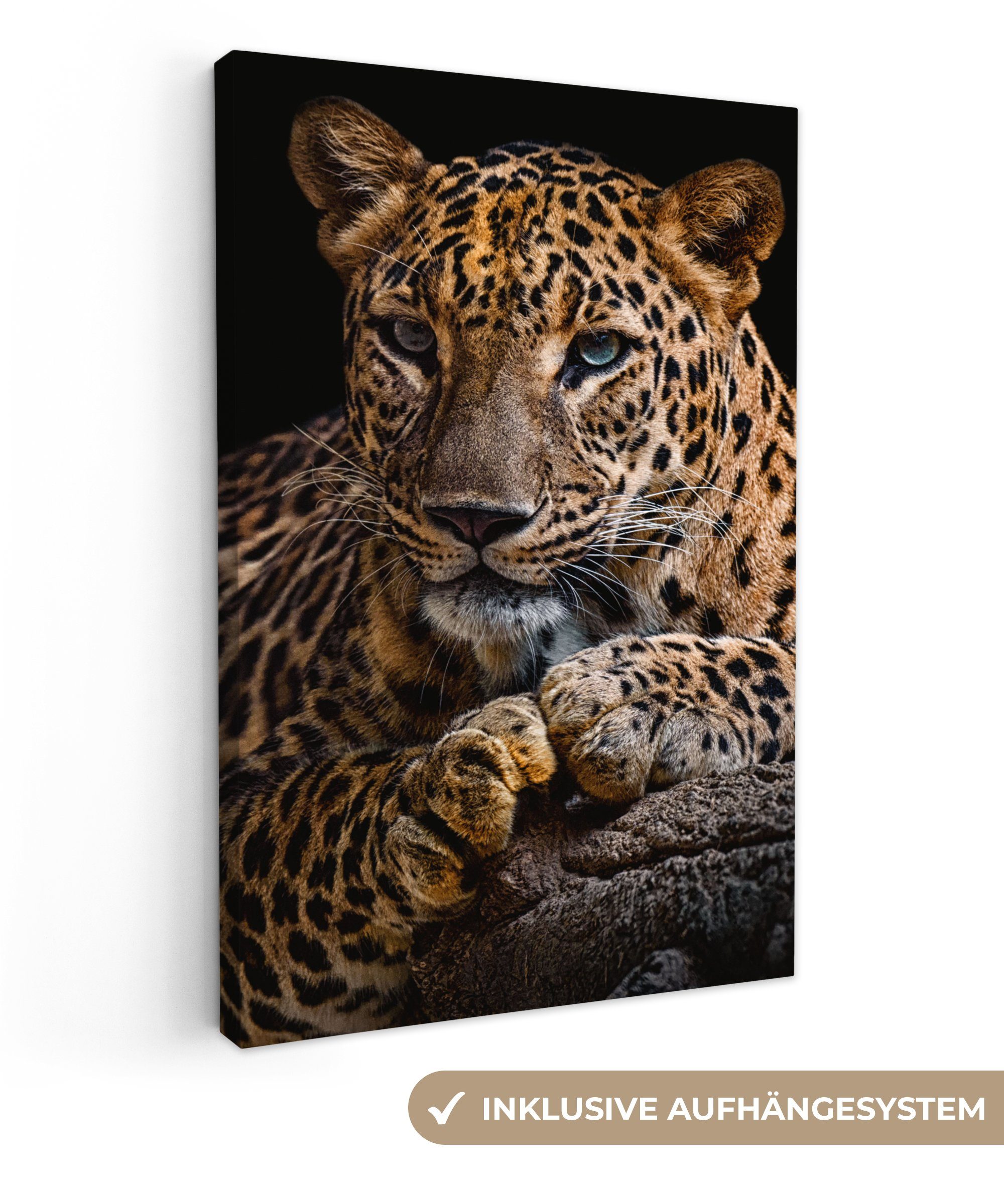 OneMillionCanvasses® Leinwandbild Wildtiere - Panther - Porträt - Schwarz - günstig online kaufen