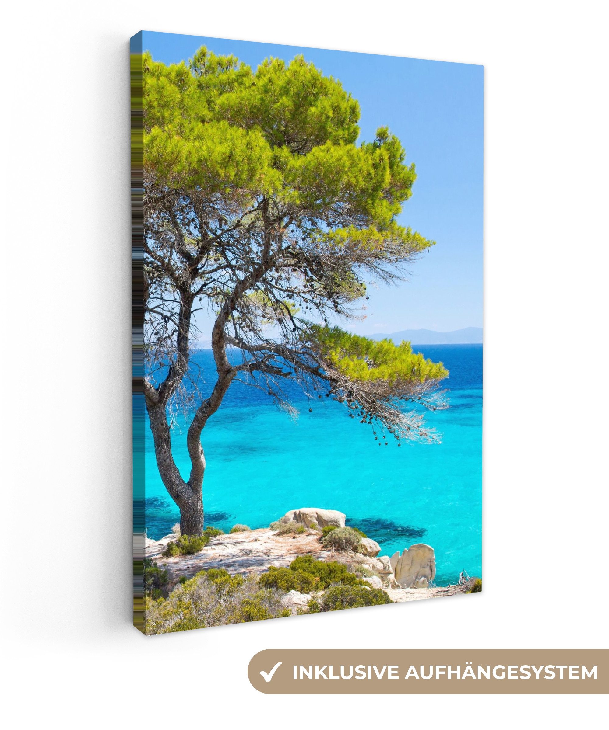 OneMillionCanvasses® Leinwandbild Baum - Meer - Tropisch - Sommer, Fotodruck (1 St), Leinwand Canvas Wandbild, Wanddekoration 20x30 cm