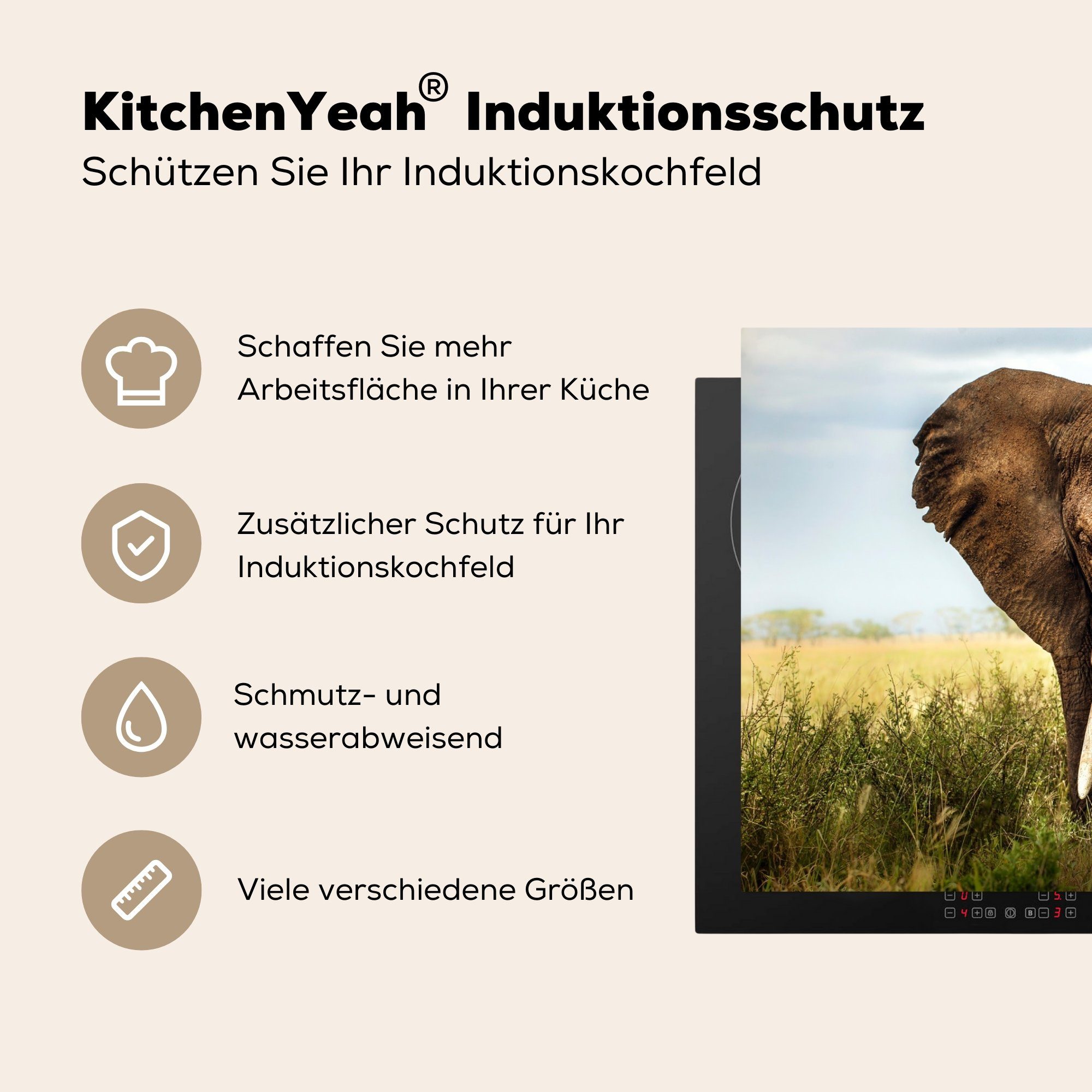 MuchoWow Herdblende-/Abdeckplatte Elefant - Gras für Vinyl, (1 tlg), Induktionskochfeld Schutz cm, - küche, die Ceranfeldabdeckung - Natur, Tiere 81x52