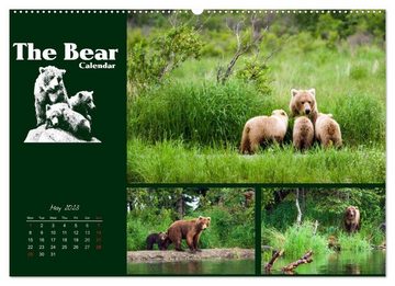 CALVENDO Wandkalender The Bear Calendar / UK-Version (Premium-Calendar 2023 DIN A2 Landscape)