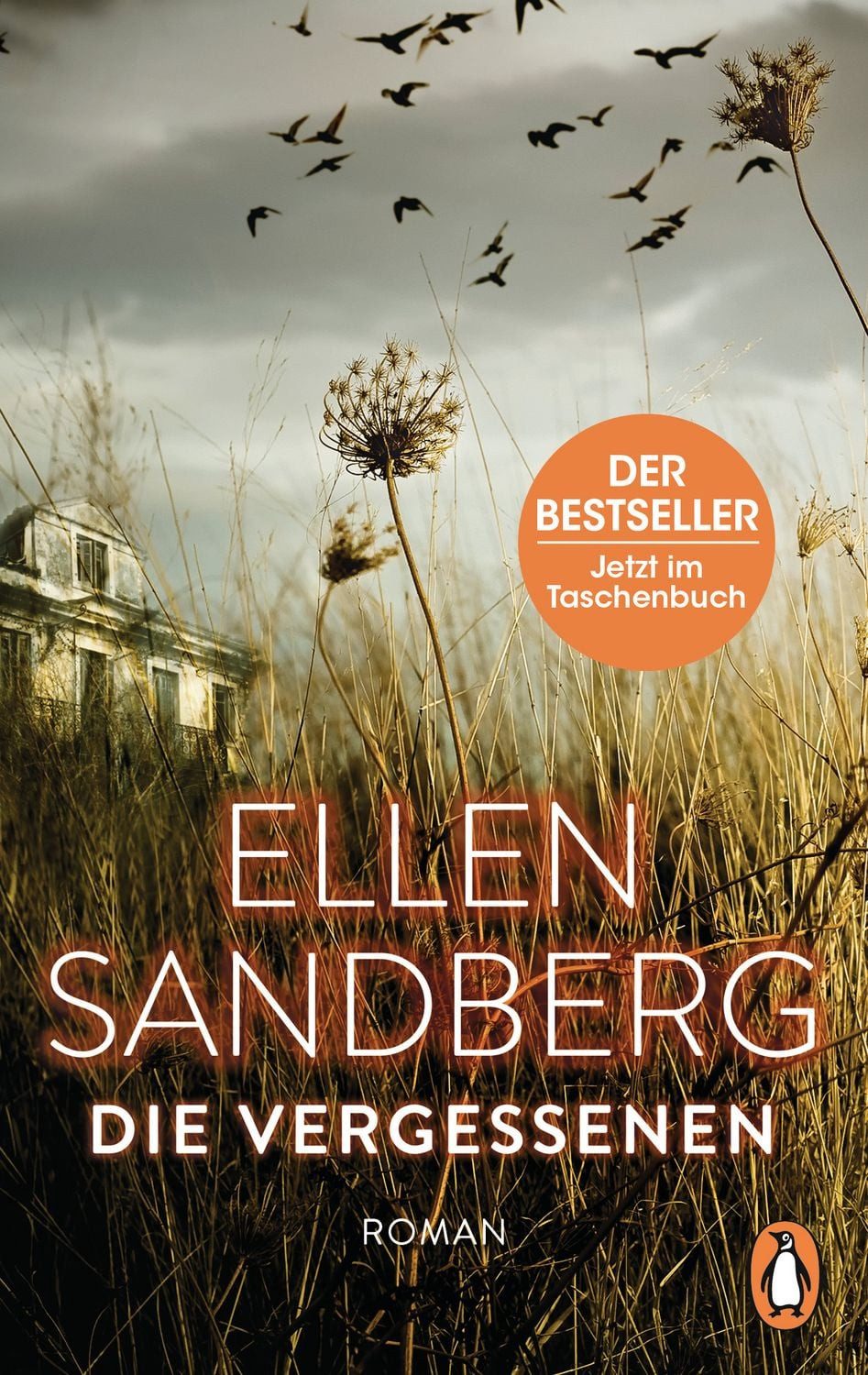 Die Vergessenen / Ellen Sandberg