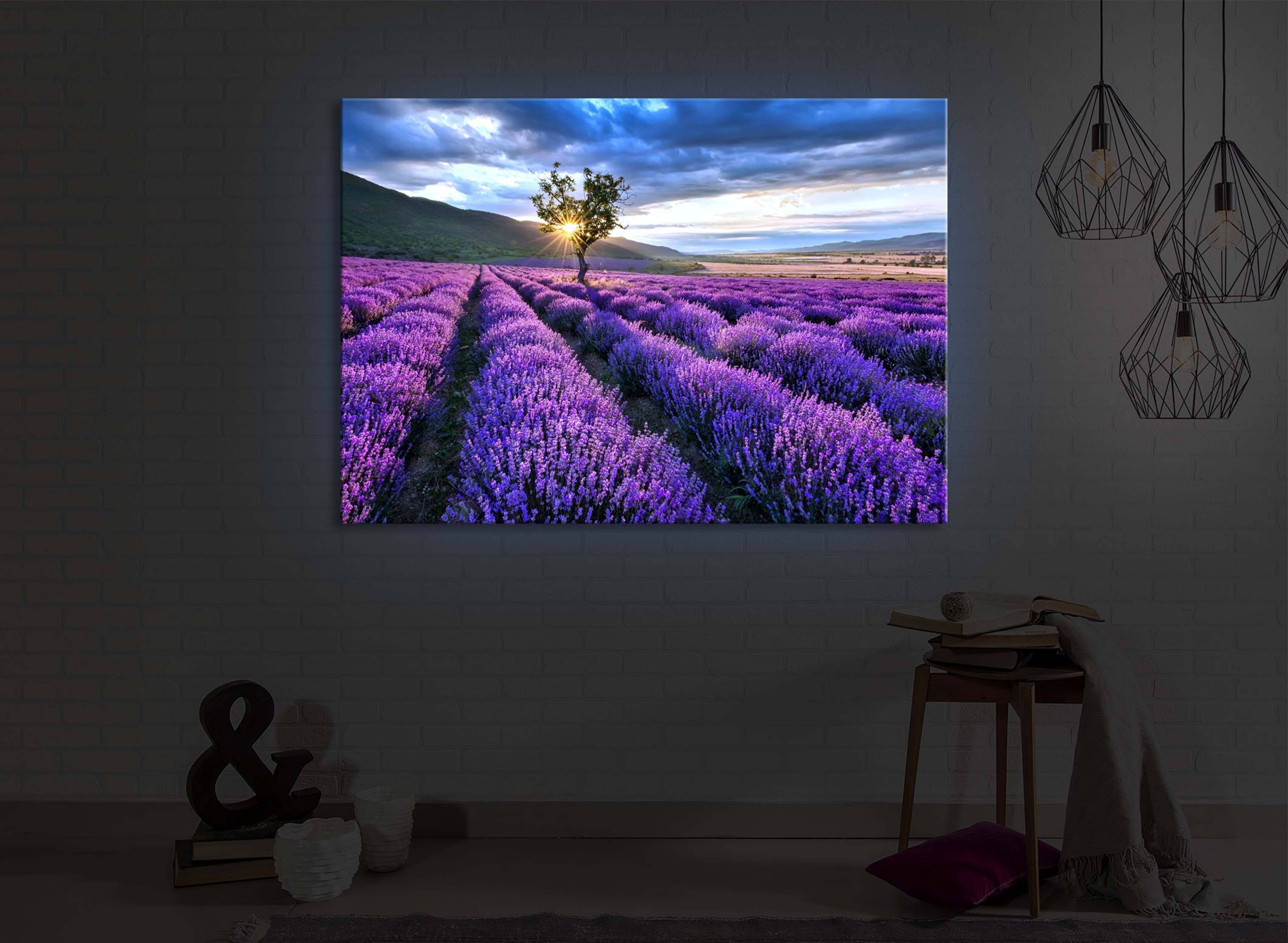 mit / 60x40cm, lighted Provence front LED-Bild Fernbedienung lightbox-multicolor Leuchtbild einsamen Baum mit