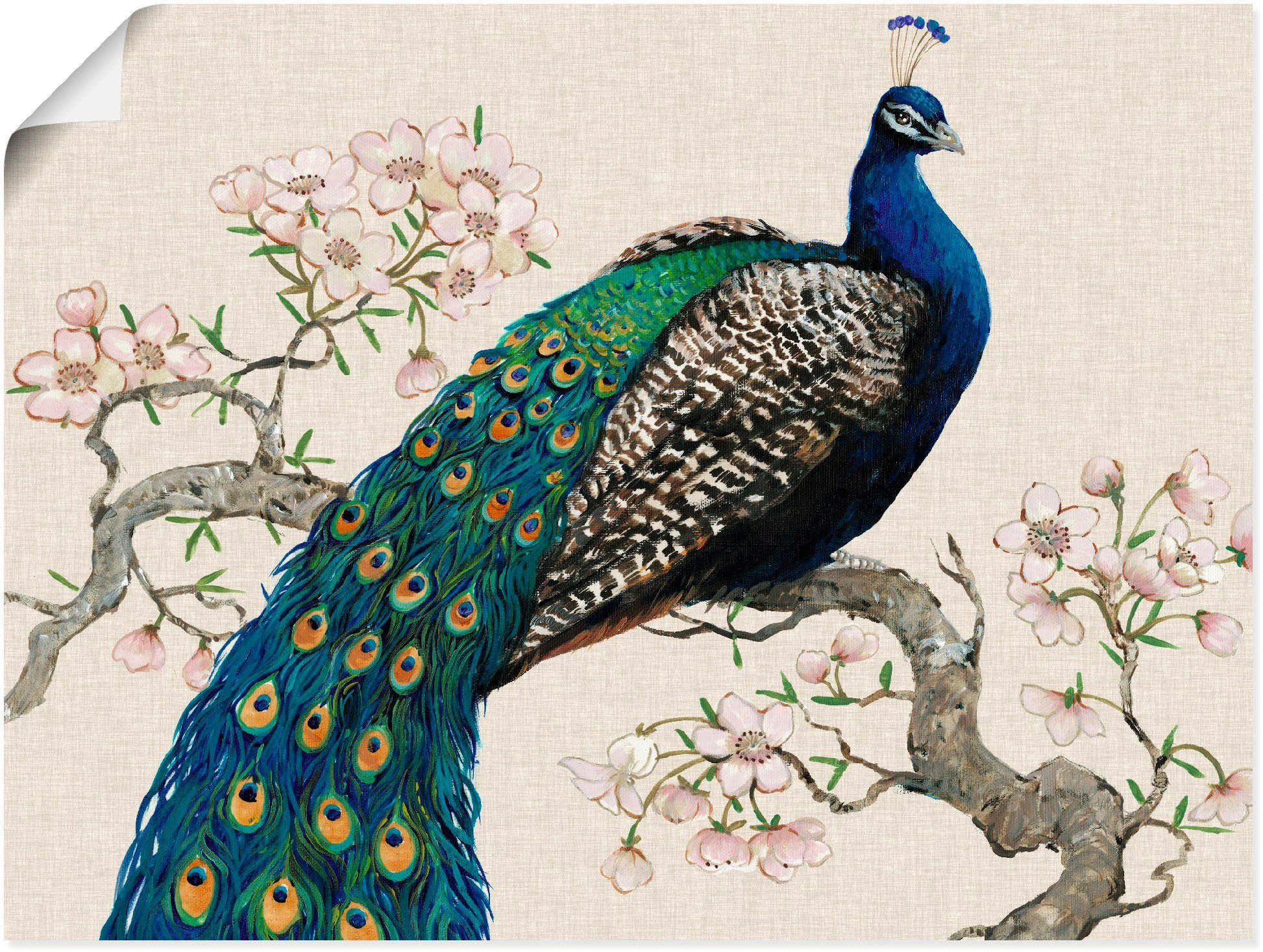 Artland Wandbild Pfau & I, Alubild, Leinwandbild, Größen Poster als versch. St), in Blüten oder Vögel (1 Wandaufkleber