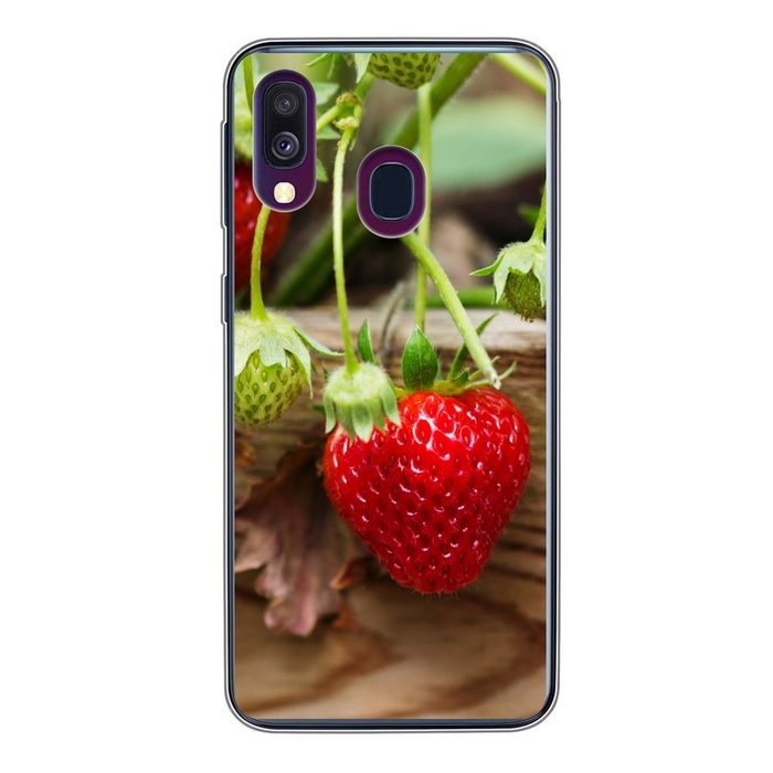 MuchoWow Handyhülle Erdbeere - Pflanze - Holz Handyhülle Samsung Galaxy A40 Smartphone-Bumper Print Handy