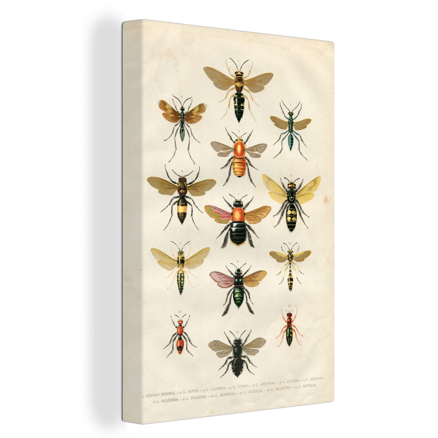 OneMillionCanvasses® Leinwandbild Eine Illustration einer Gruppe von Bienen vor einem hellen Hintergrund, (1 St), Leinwandbild fertig bespannt inkl. Zackenaufhänger, Gemälde, 20x30 cm