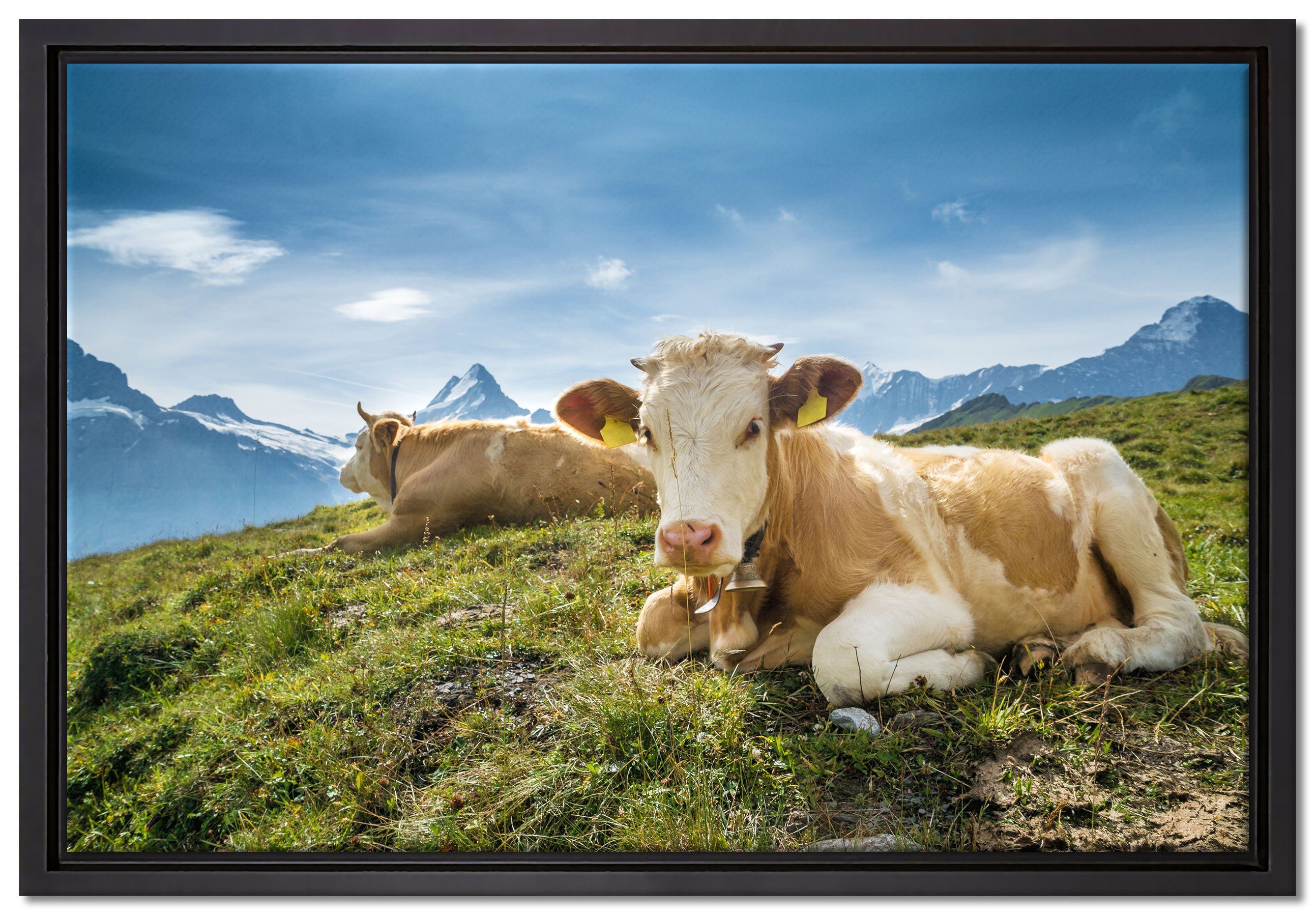 Pixxprint Leinwandbild Simmentaler Kühe vor Schweizer Alpen, Wanddekoration (1 St), Leinwandbild fertig bespannt, in einem Schattenfugen-Bilderrahmen gefasst, inkl. Zackenaufhänger