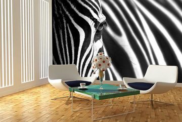 WandbilderXXL Fototapete Animal Stripes, glatt, Zebra, Vliestapete, hochwertiger Digitaldruck, in verschiedenen Größen