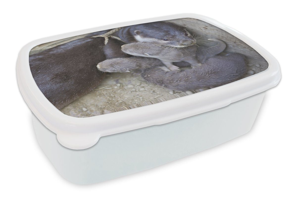 MuchoWow Lunchbox Otter mit Jungtieren, Kunststoff, (2-tlg), Brotbox für Kinder und Erwachsene, Brotdose, für Jungs und Mädchen weiß
