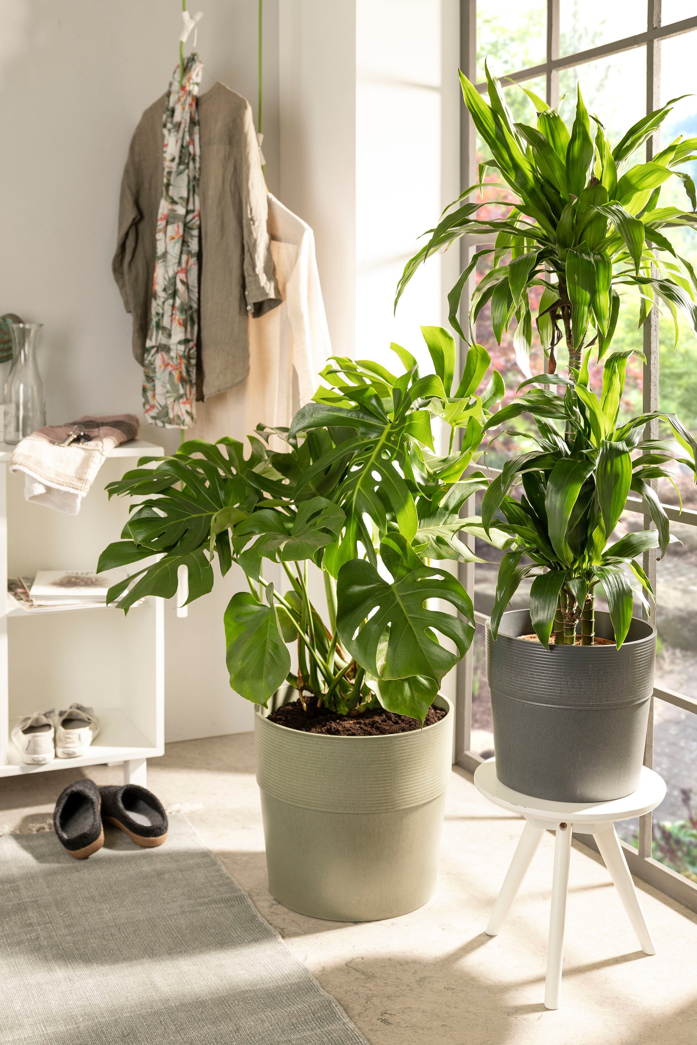 Scheurich Blumentopf 224/40 groove khaki günstig online kaufen