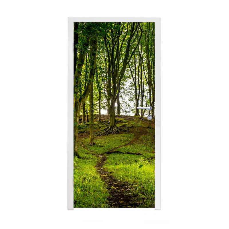 MuchoWow Türtapete Wald - Weg - Grün, Matt, bedruckt, (1 St), Selbstklebende Tapete, Folie für Möbel, 75x205 cm