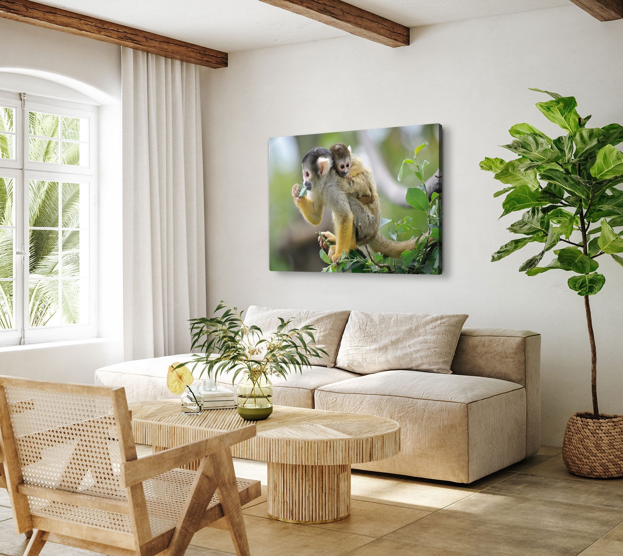 Sinus Art Leinwandbild 120x80cm Wandbild auf Leinwand Totenkopfaffen kleine Affen im Baum Nat, (1 St)