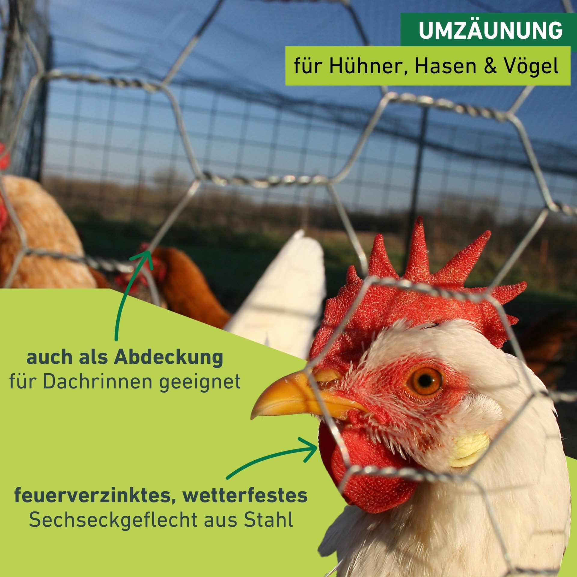 Windhager Voliere für Hasen, Hühner und Vögel, Kleintiergeflecht verzinkt, Sechseck-Geflecht, Gittergröße 1 x 10 m oder 0,5 x 10 m