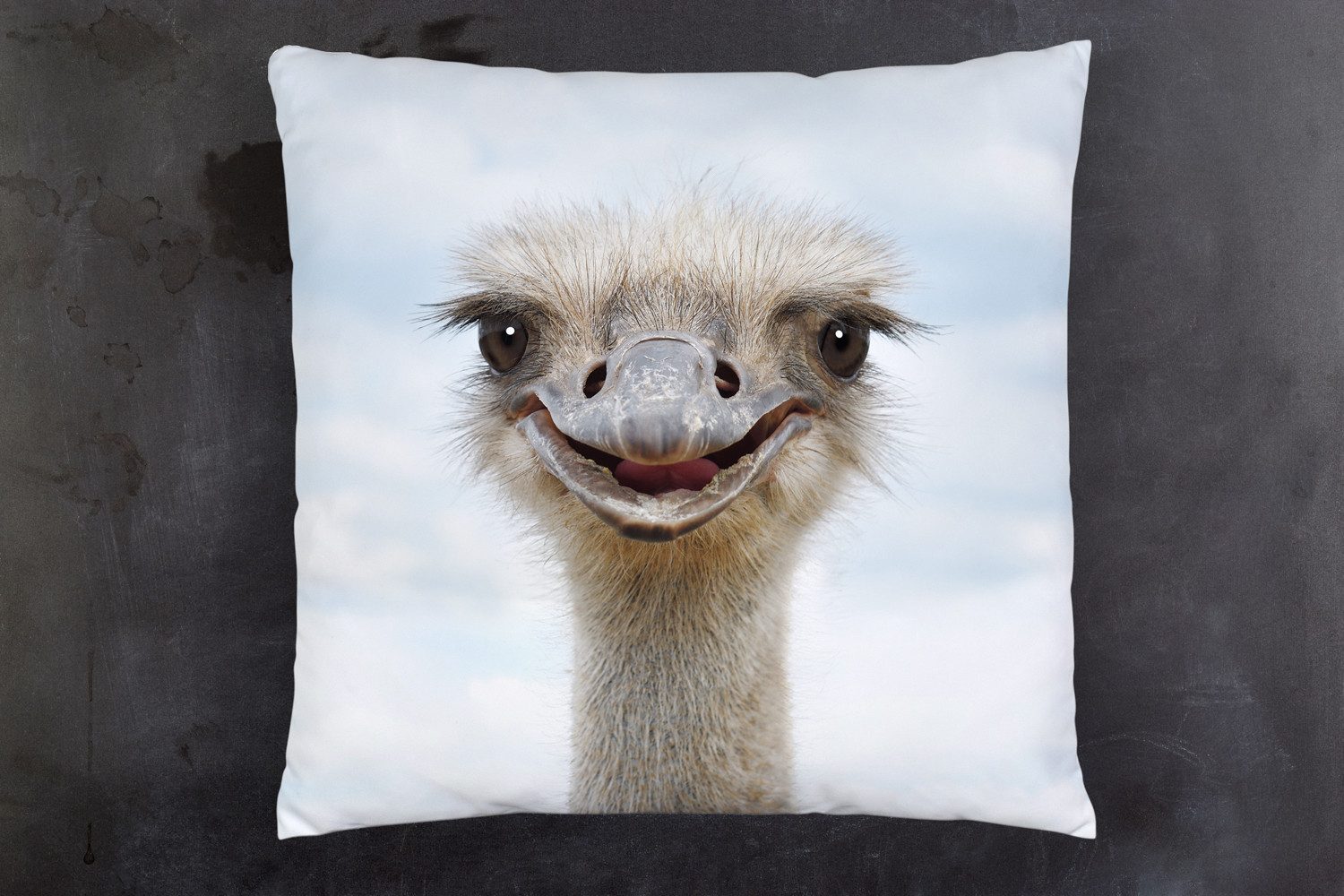 queence Dekokissen Vogelstrauß, Kissenhülle mit HD Premium Druck, geruchsneutral, 40x40cm