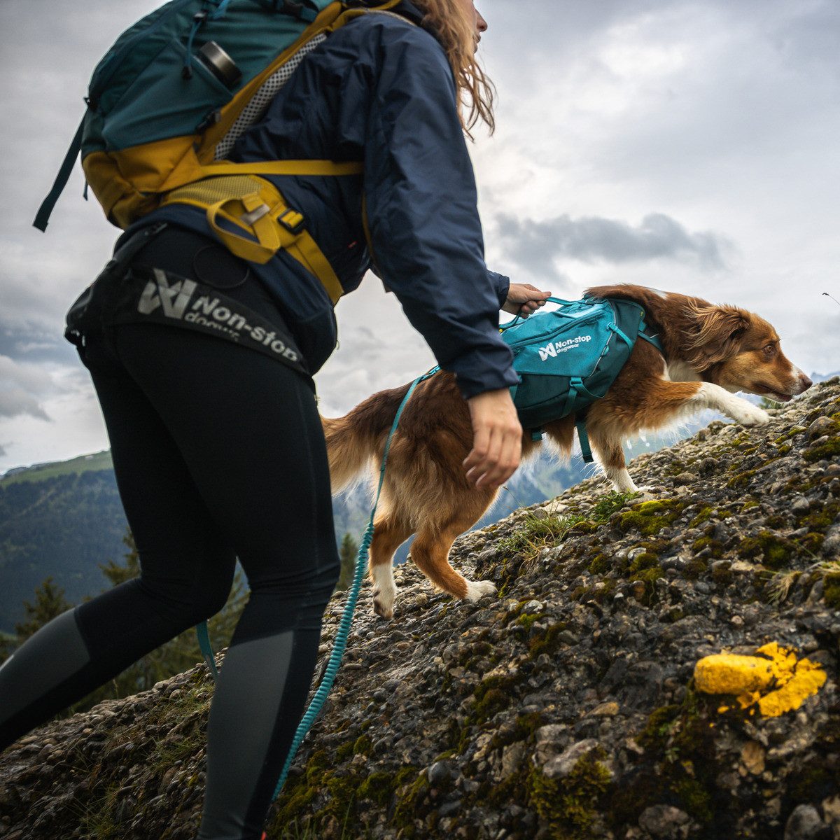 Non-stop dogwear Hunde-Geschirr Hunderucksack Trail Dog Backpack teal