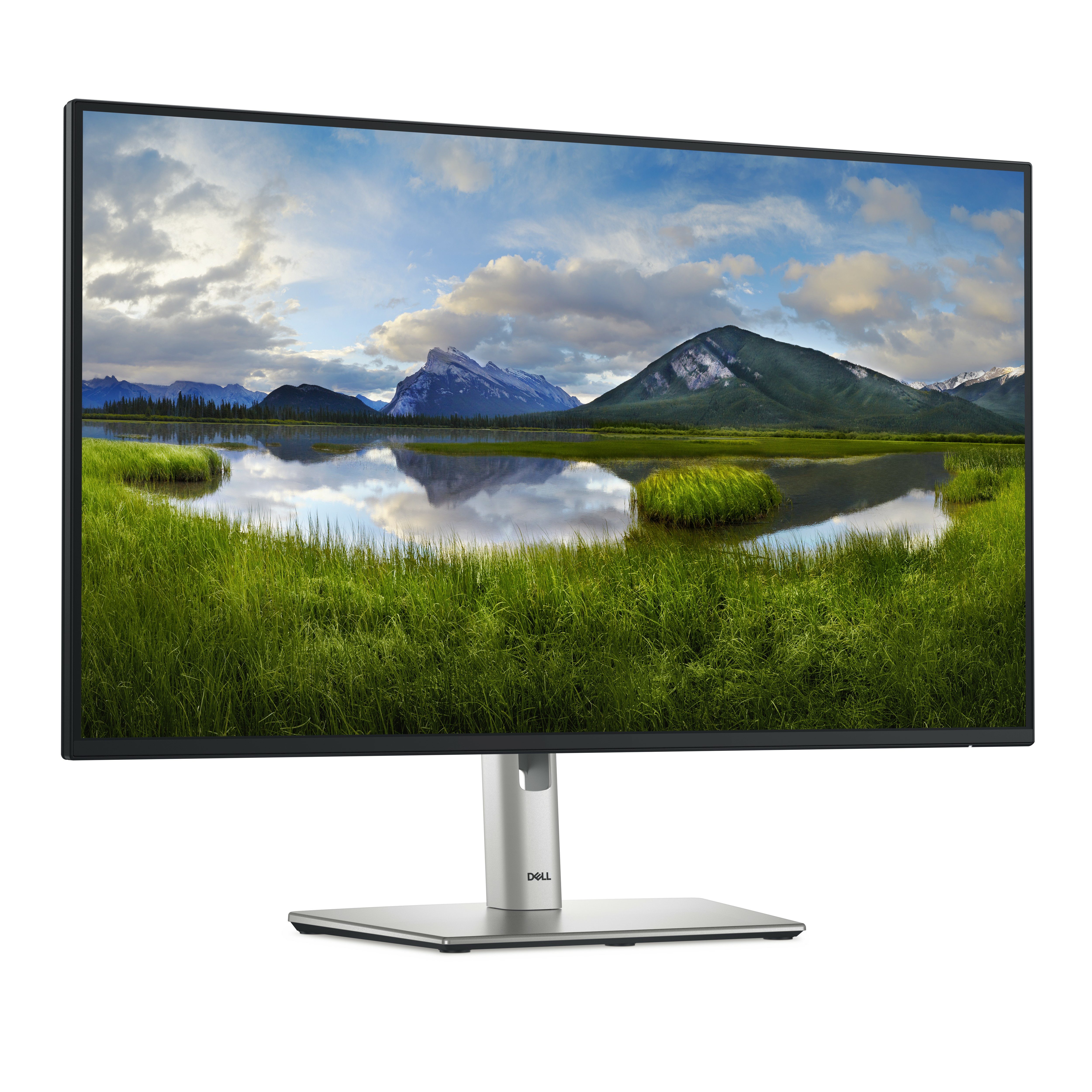 Dell Flüssiger Displayschutz