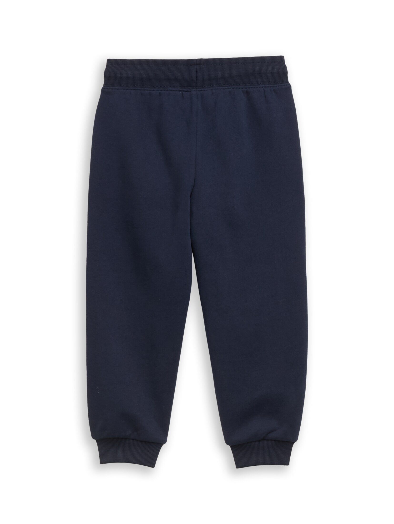 TOM TAILOR Sweathose Hosen & Chino Jogginghose mit Dino-Stickerei