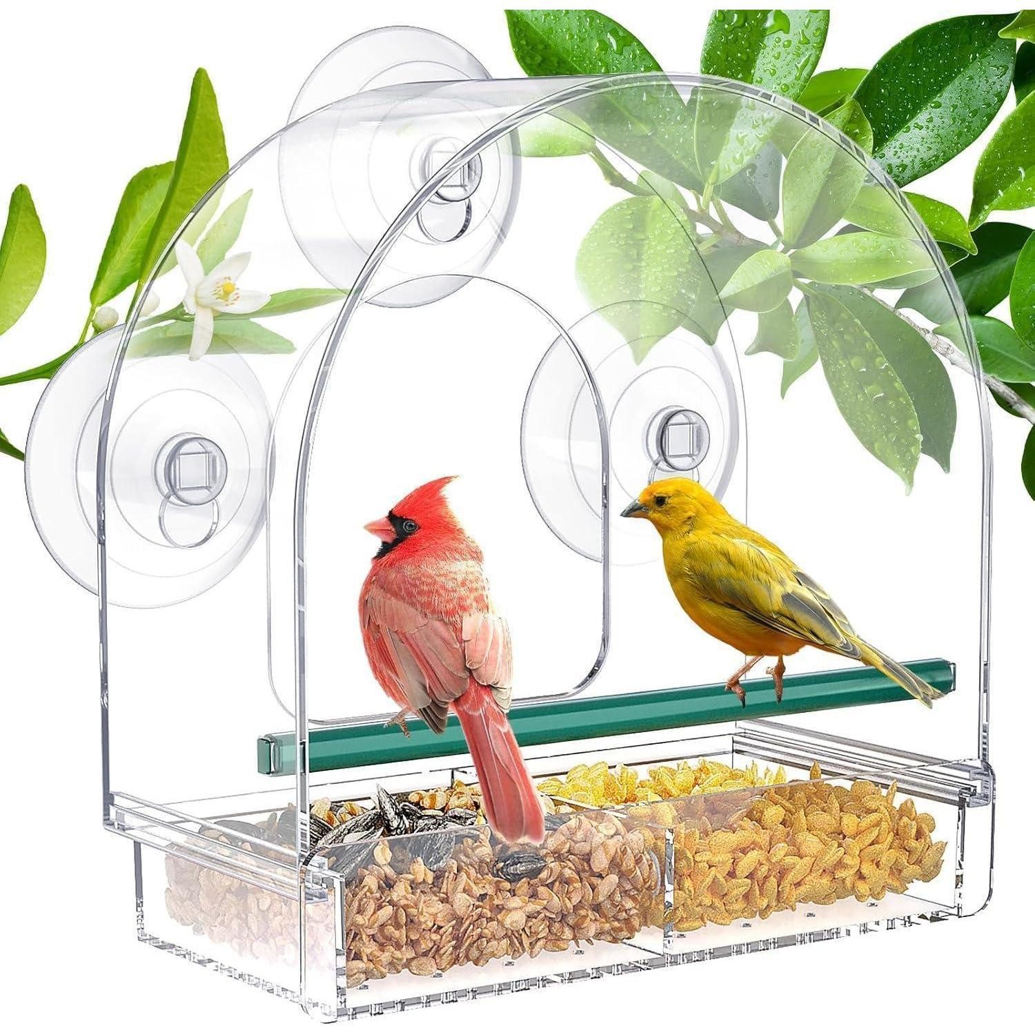 LuxusKollektion Futterhaus Futterhaus Fenster Transparent Saugnäpfe Wildvögel Glockenförmig