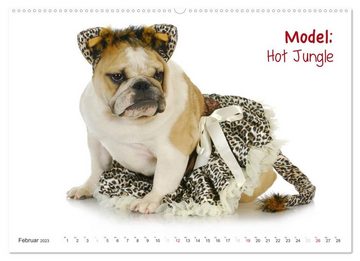 CALVENDO Wandkalender English Bulldog XXL Models (Premium, hochwertiger DIN A2 Wandkalender 2023, Kunstdruck in Hochglanz)