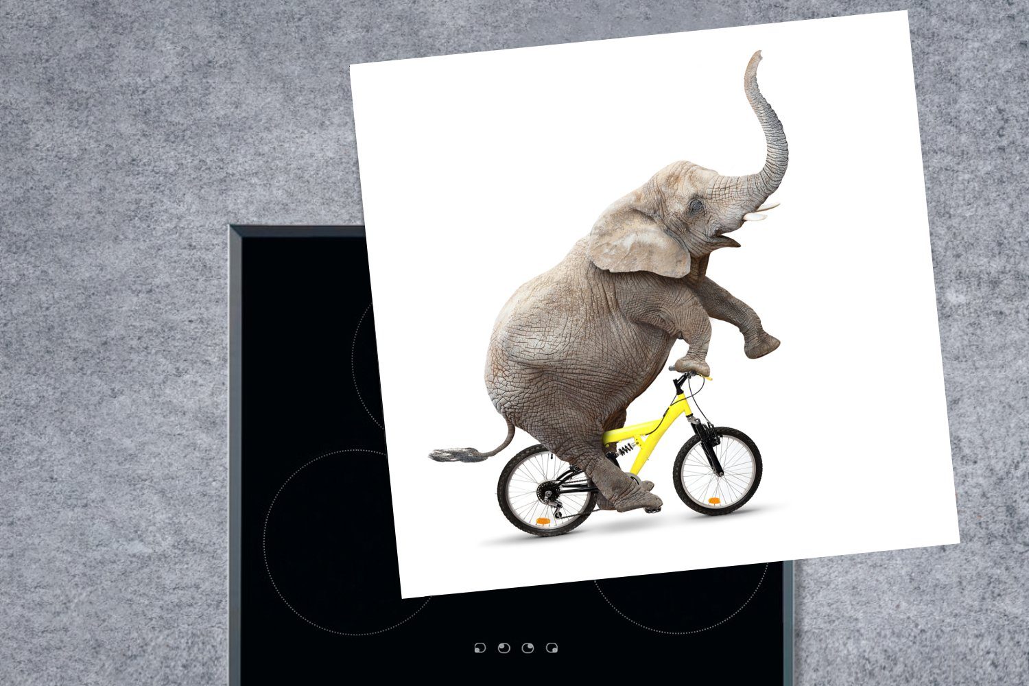 tlg), (1 78x78 Weiß, Fahrrad Arbeitsplatte Herdblende-/Abdeckplatte Ceranfeldabdeckung, küche - cm, MuchoWow - Elefant Vinyl, für