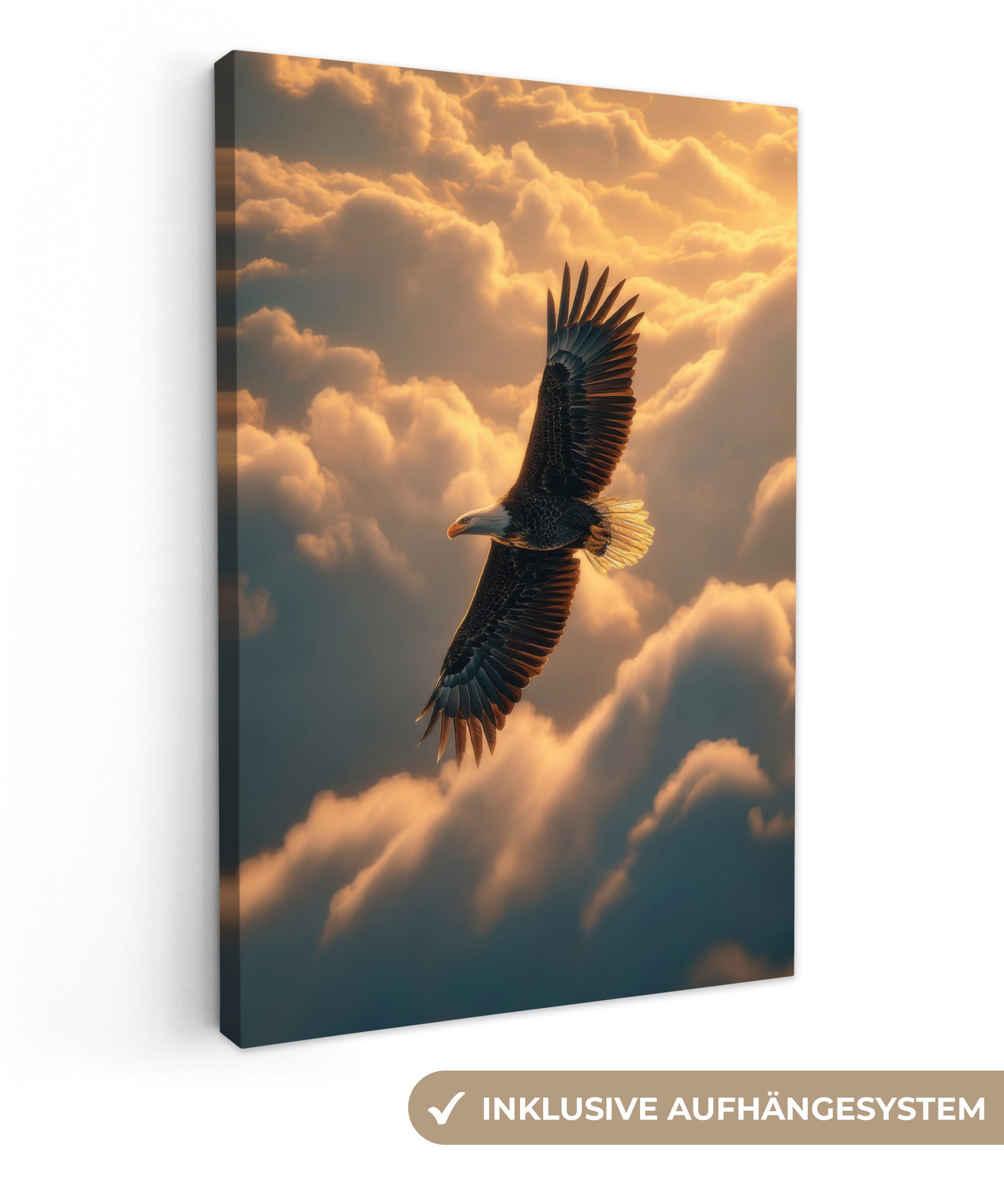 OneMillionCanvasses® Leinwandbild Adler - Wolken - Sonne, Fotodruck (1 St), günstig online kaufen