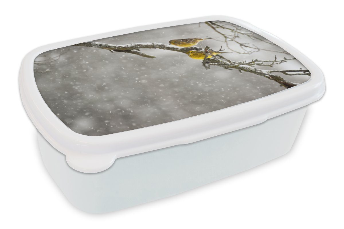 MuchoWow Lunchbox Goldammer - Schnee - Vogel, Kunststoff, (2-tlg), Brotbox für Kinder und Erwachsene, Brotdose, für Jungs und Mädchen weiß